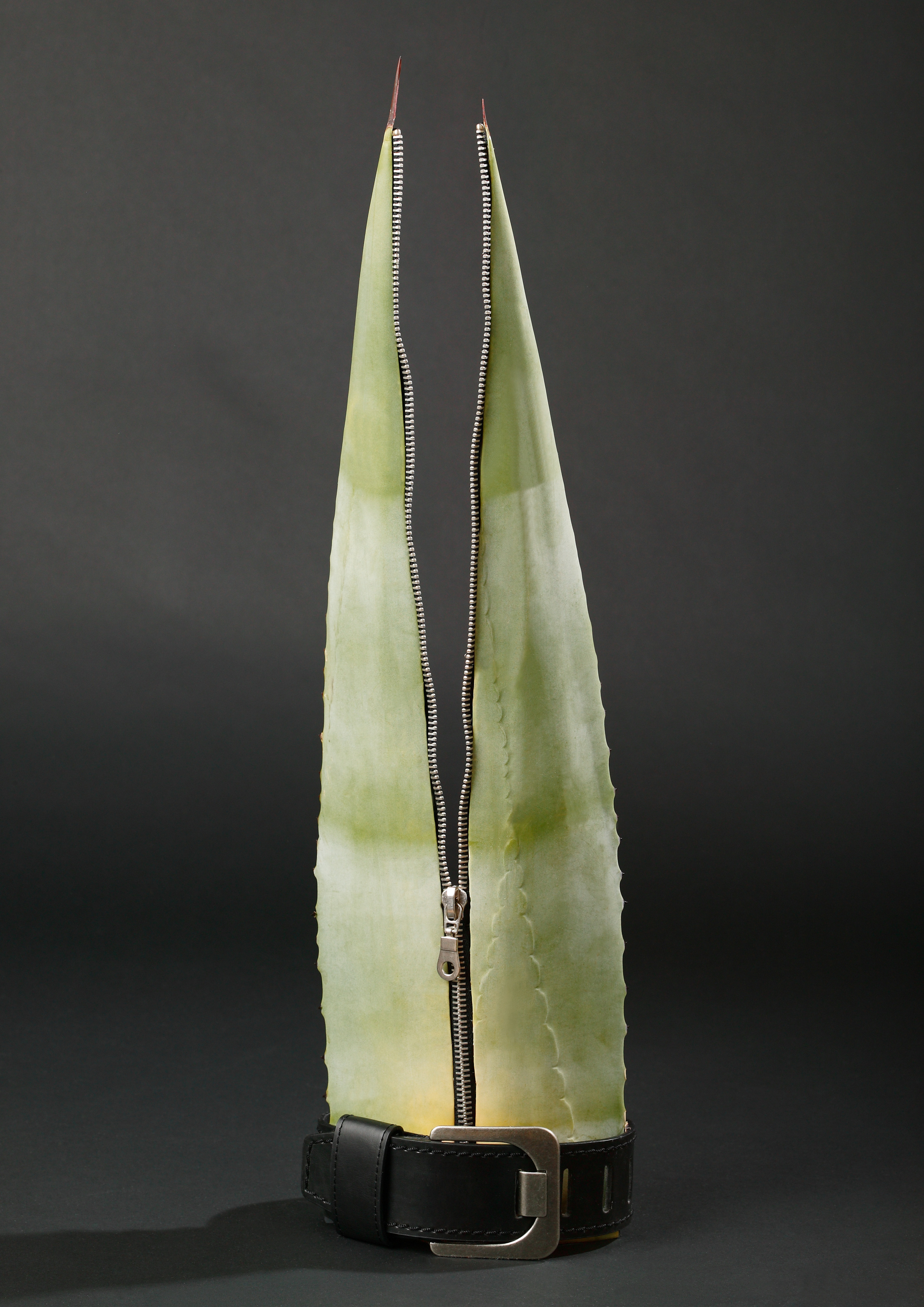 Флорист: Ольга Ручкина.