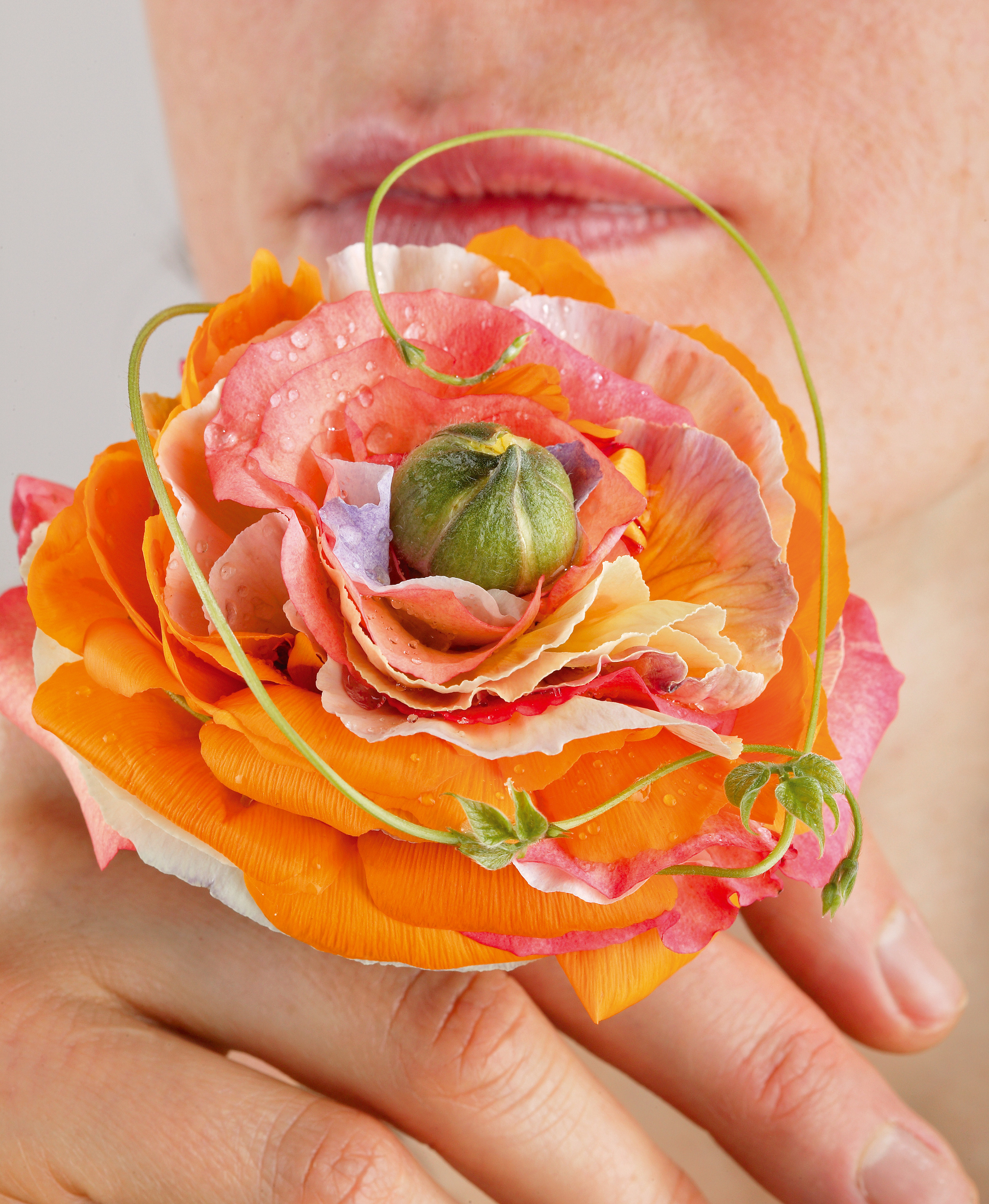 Флорист: Светлана Метальникова.