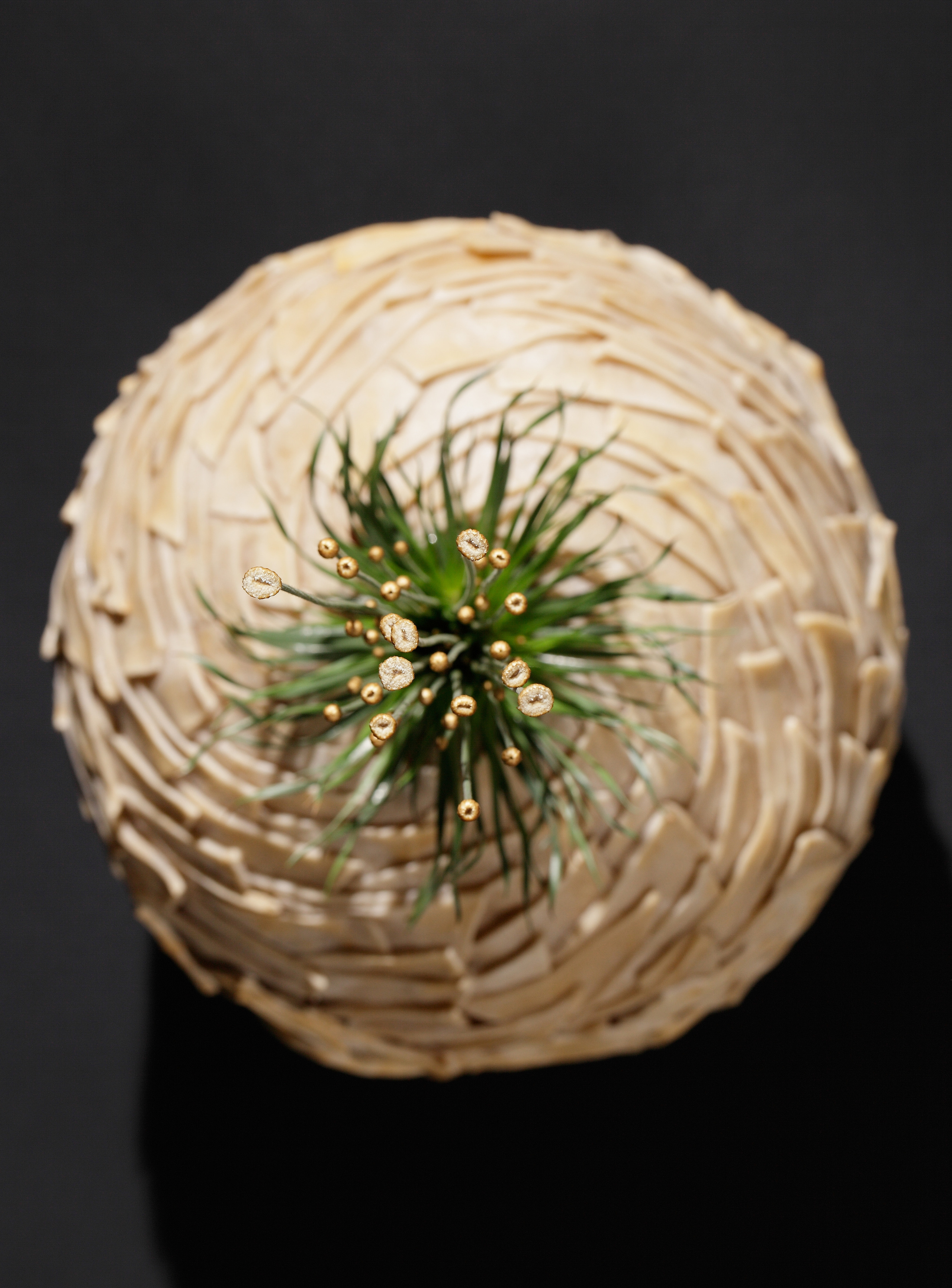 Флорист: Показаньева Анна.