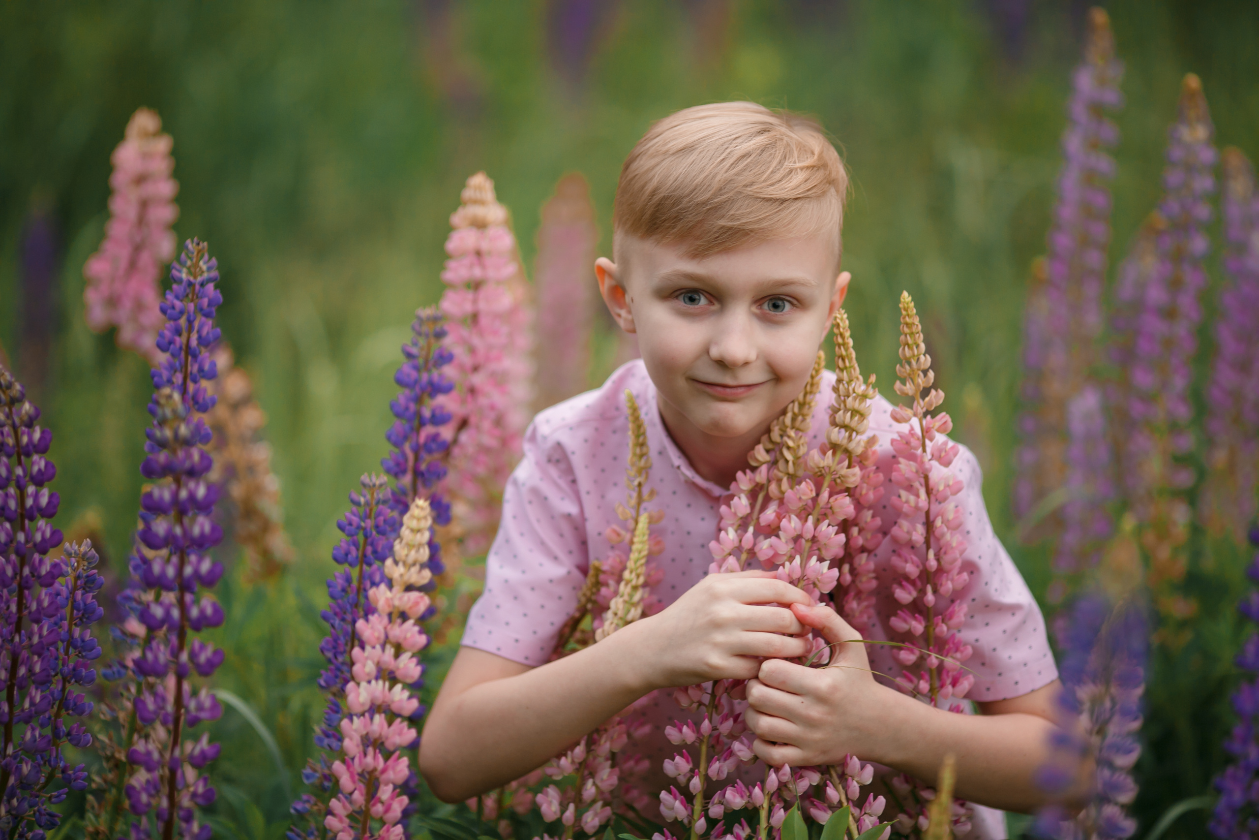 Фотосессия в люпинах в Королеве. Свадебный и репортажный фотограф (Москва, Королев и другие)