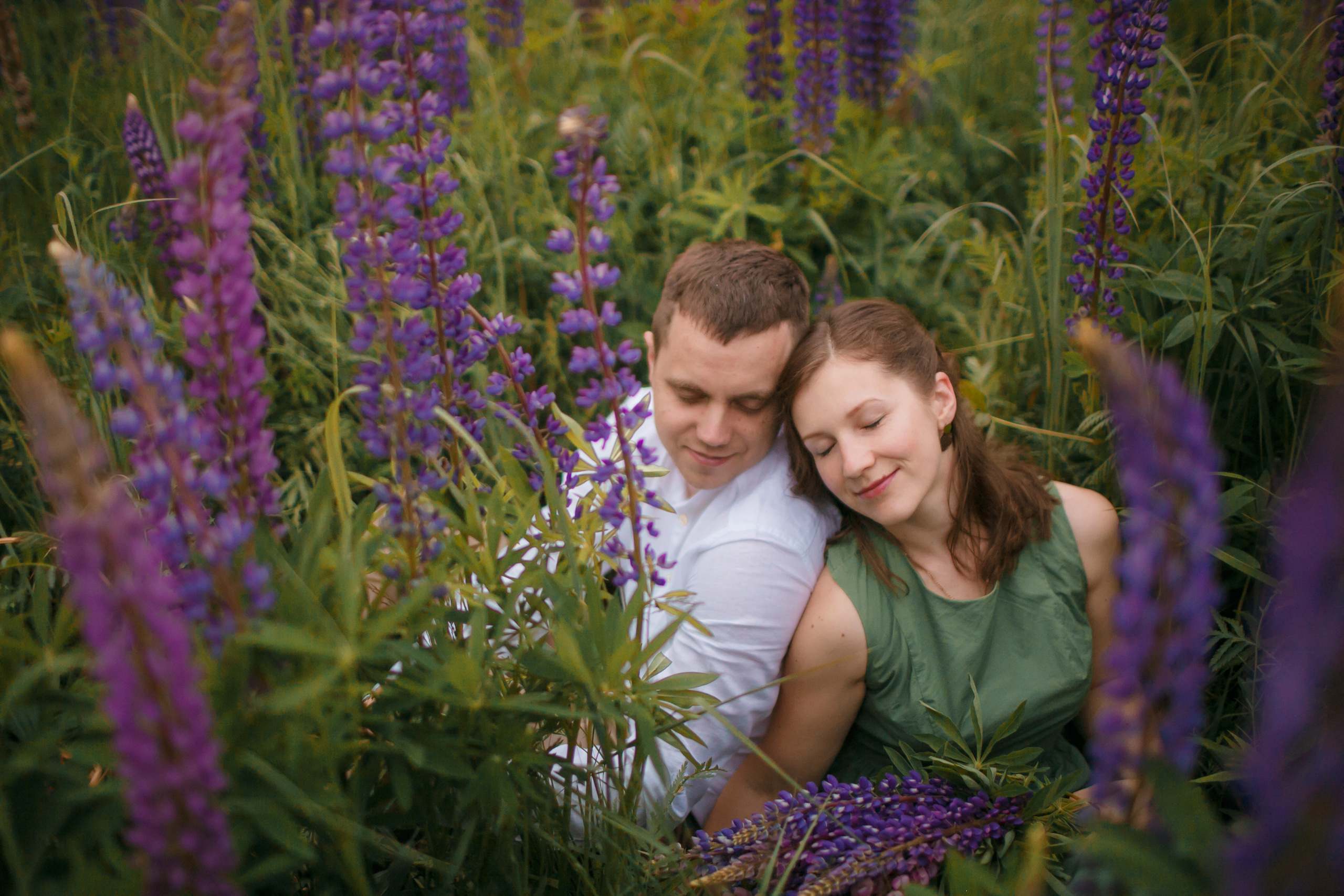 Фотосессия love-story в люпиновом поле в городе Королев. Свадебный и репортажный фотограф (Москва, Королев и другие)