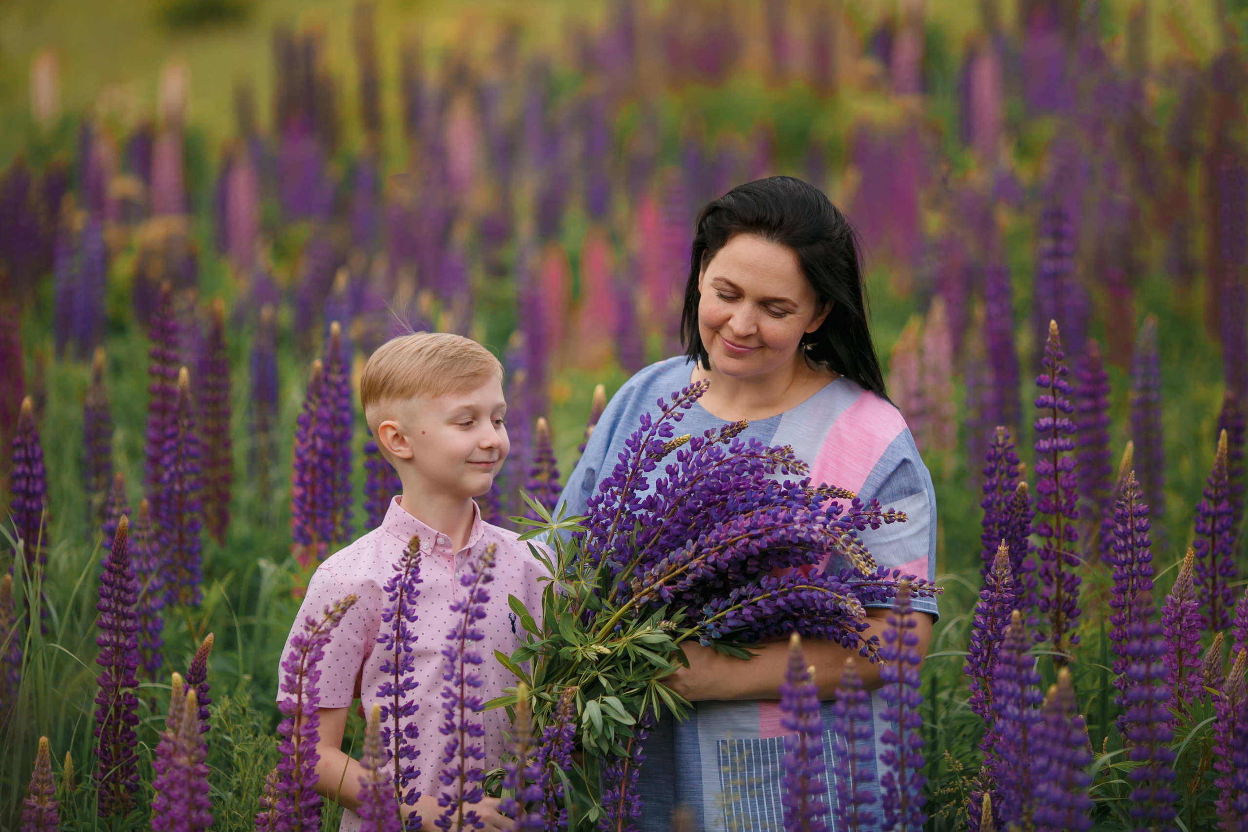 Фотосессия в люпинах в Королеве. Свадебный и репортажный фотограф (Москва, Королев и другие)