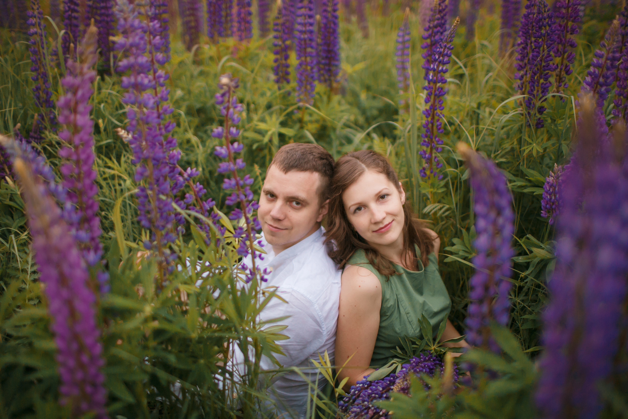 Фотосессия love-story в люпиновом поле в городе Королев. Свадебный и репортажный фотограф (Москва, Королев и другие)