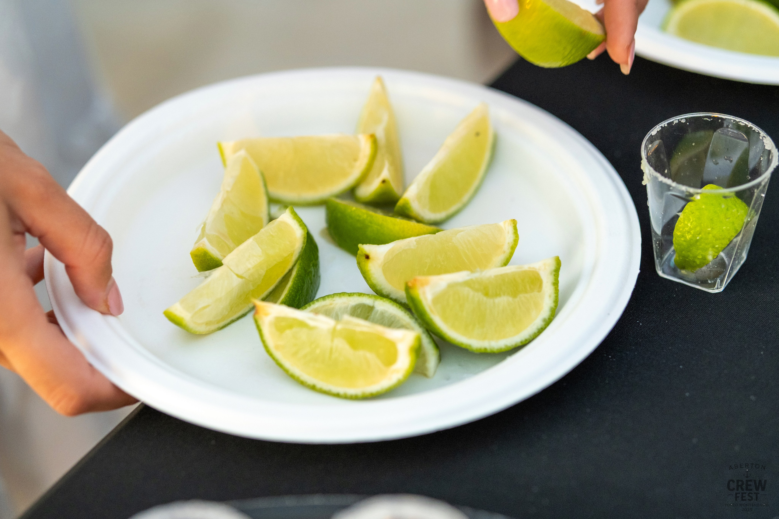 Aberton Crew Fest. Family and wedding photographer in Montenegro