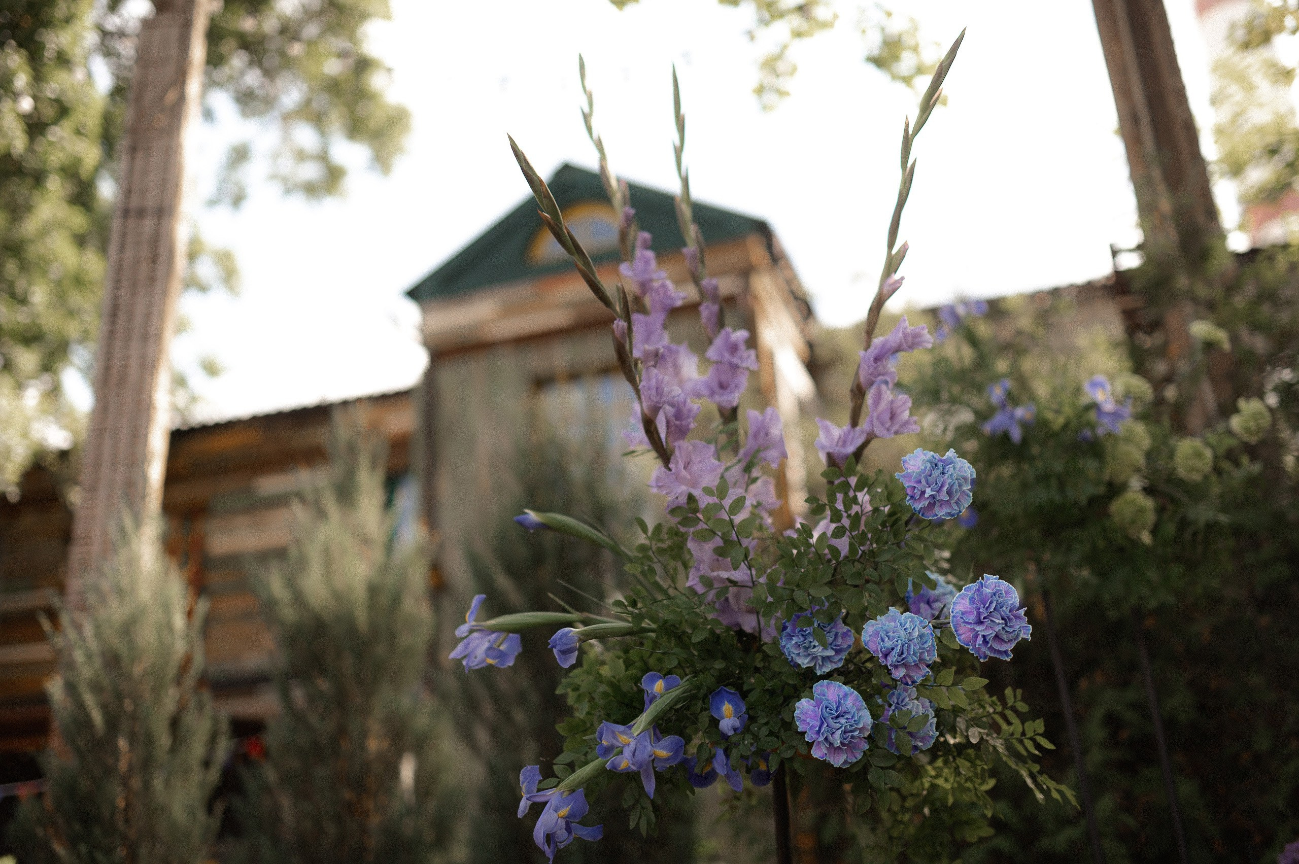Леопардовое безумие. Афина Ефимова. Свадебный фотограф Москва