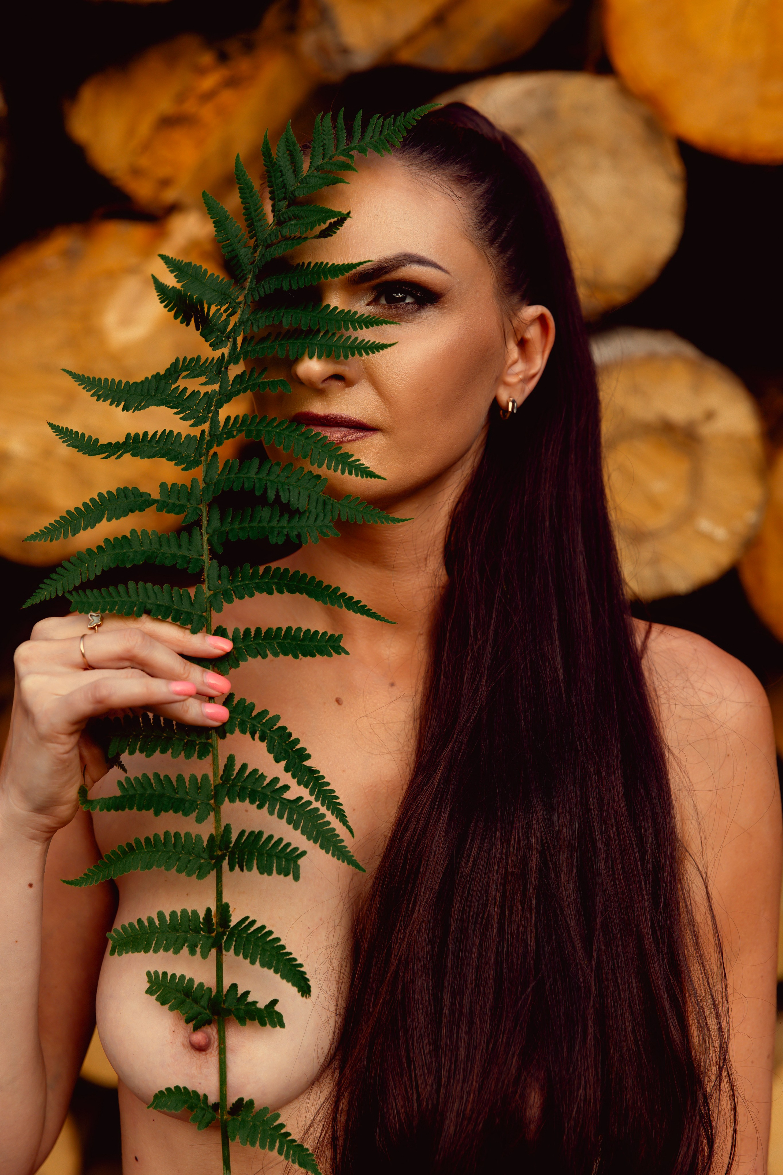 Древесные узоры. Сказочный фотограф для Вас и Вашей семьи