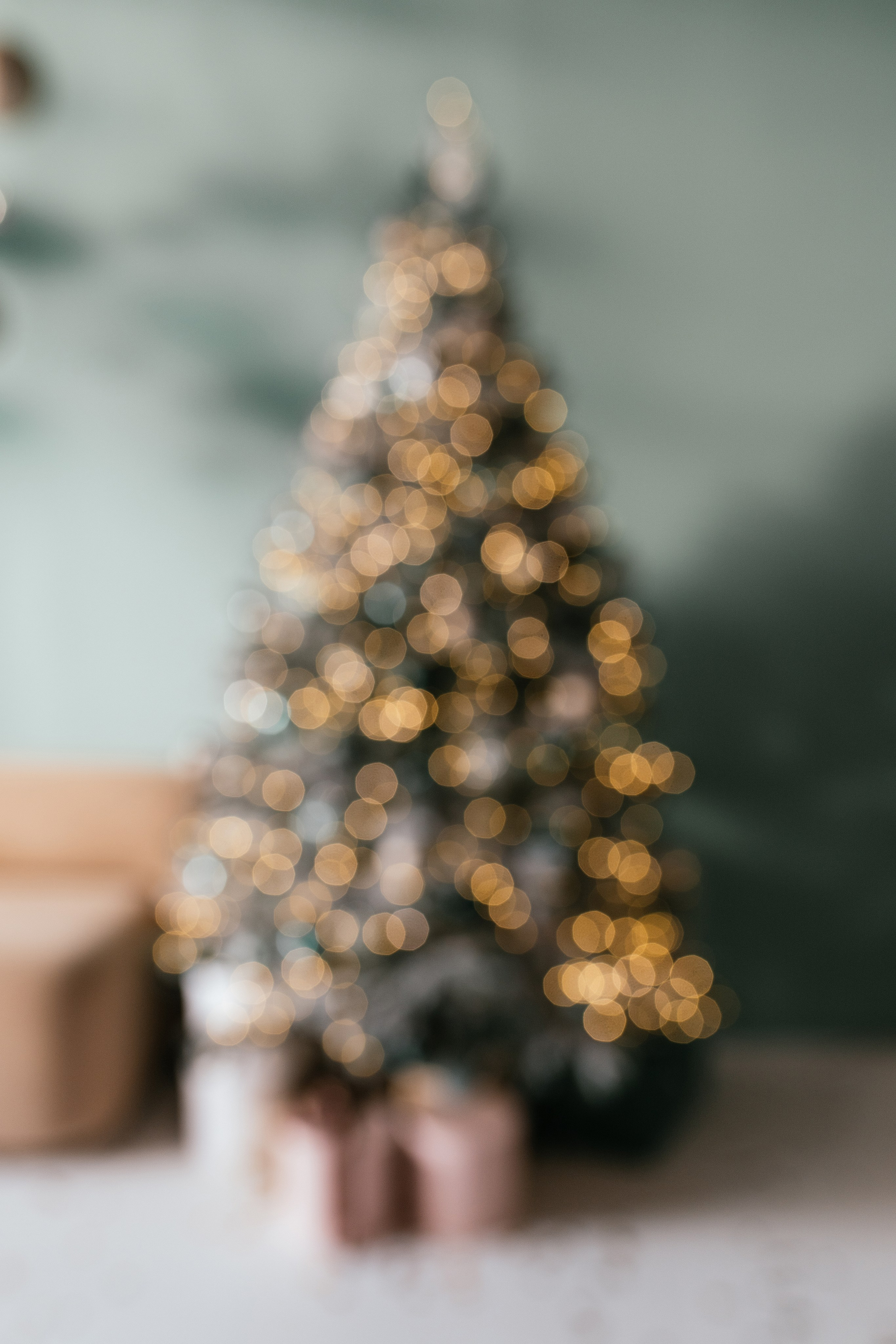 Олеся и Платон. Свадебный, семейный фотограф в Рязани Лена Брант