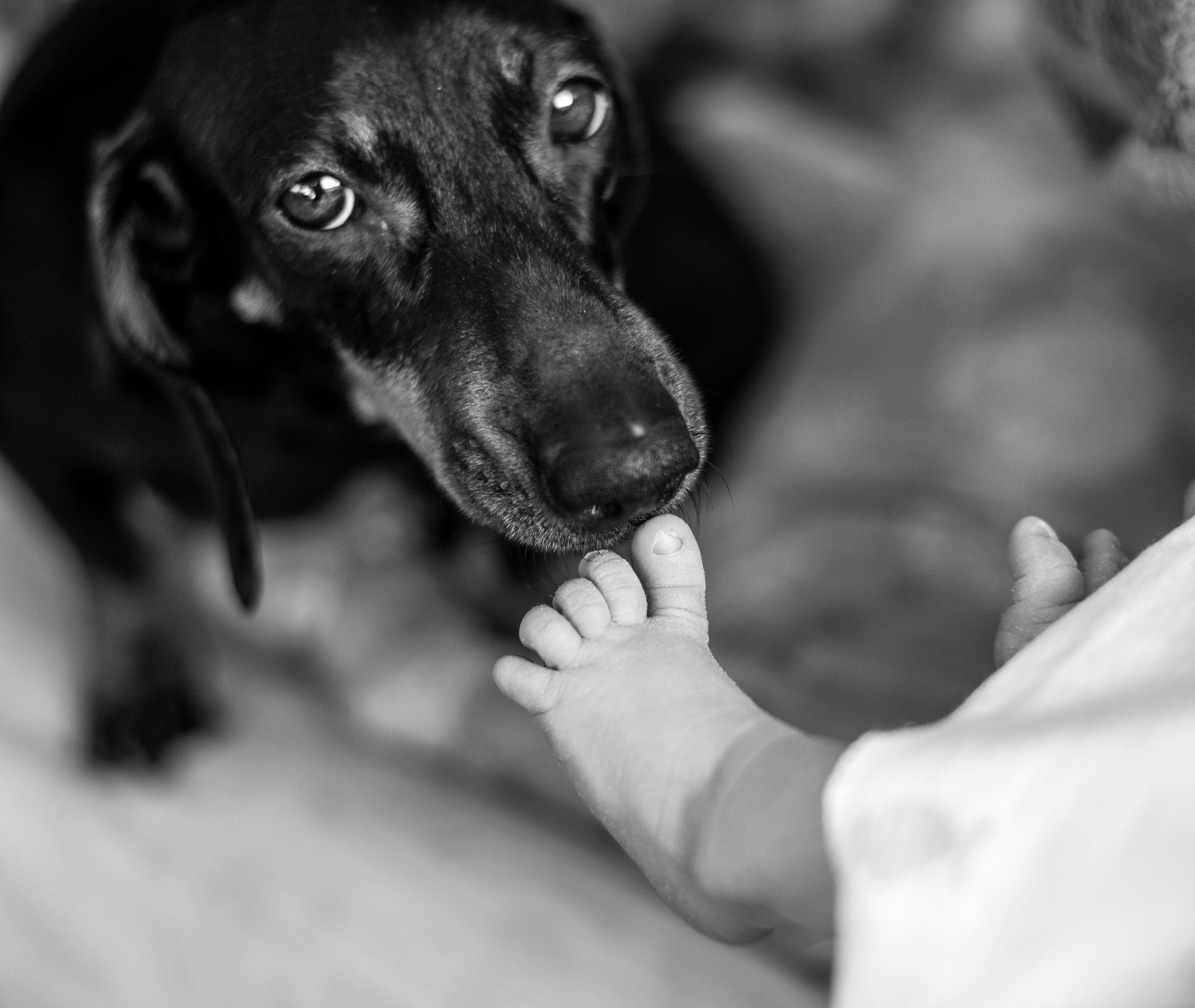 Ч/Б. Фотограф NEWBORN и малышей до года в Тольятти Веретина Лилия