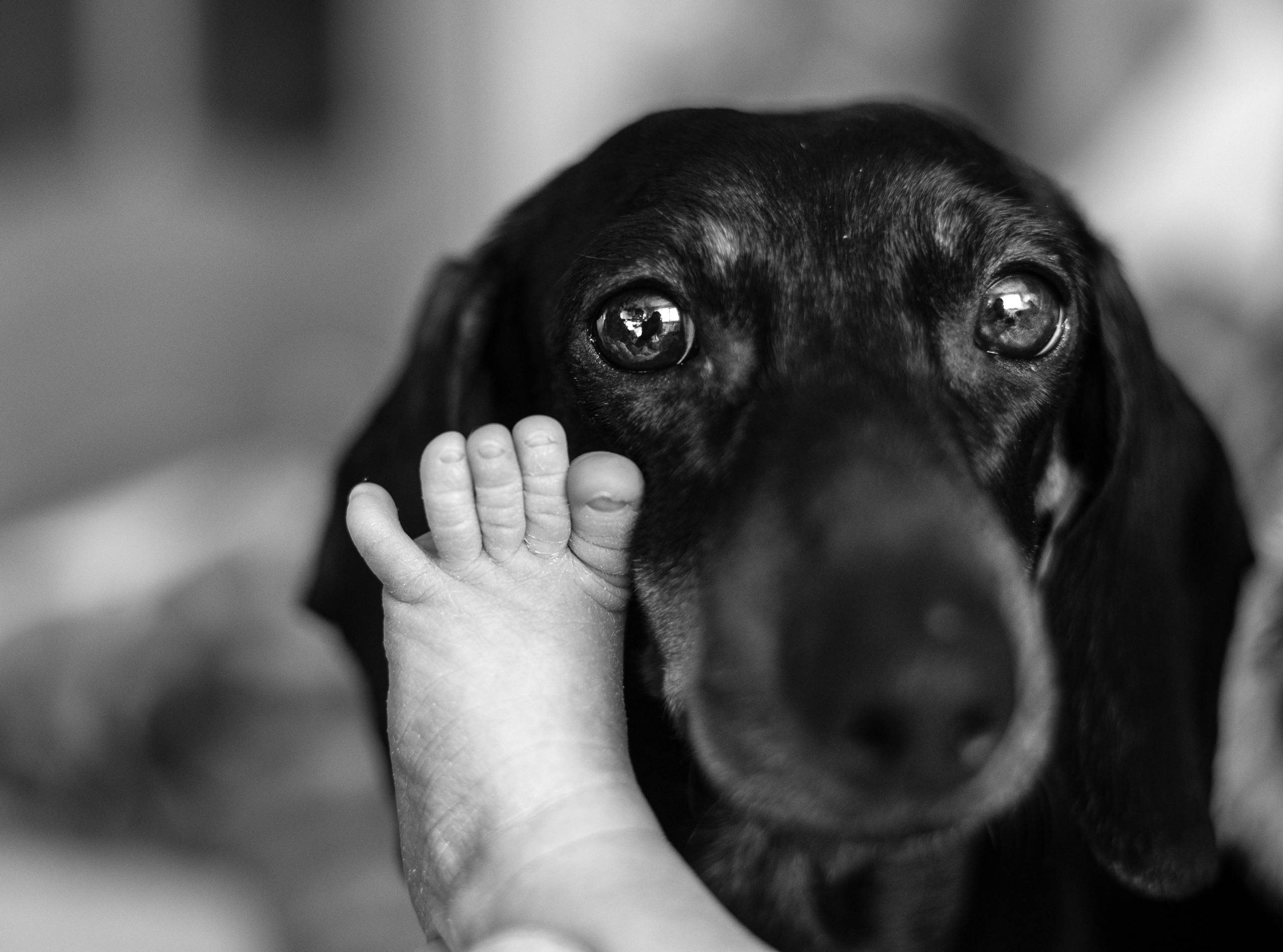 Ч/Б. Фотограф NEWBORN и малышей до года в Тольятти Веретина Лилия