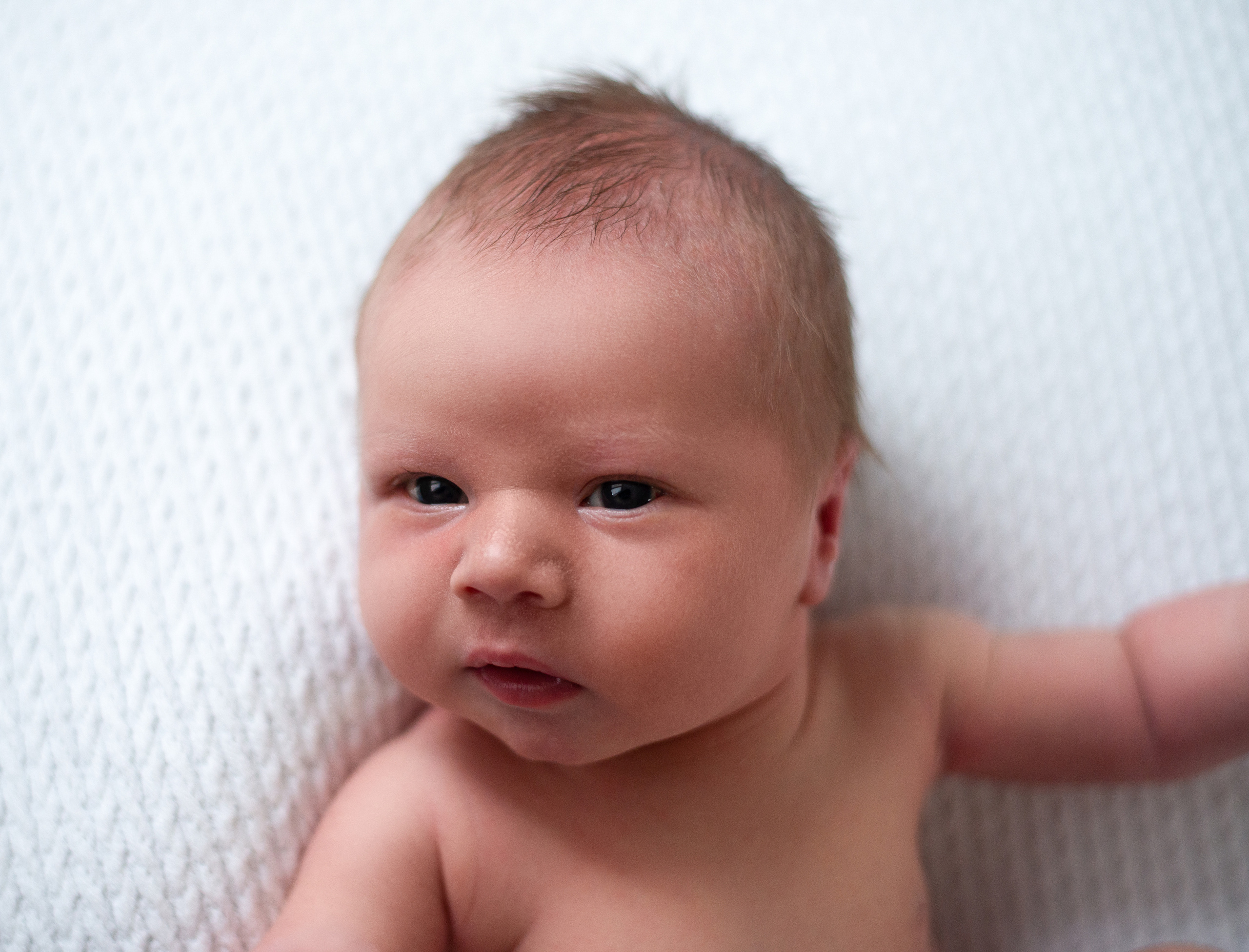 Мои малыши!. Фотограф NEWBORN и малышей до года в Тольятти Веретина Лилия