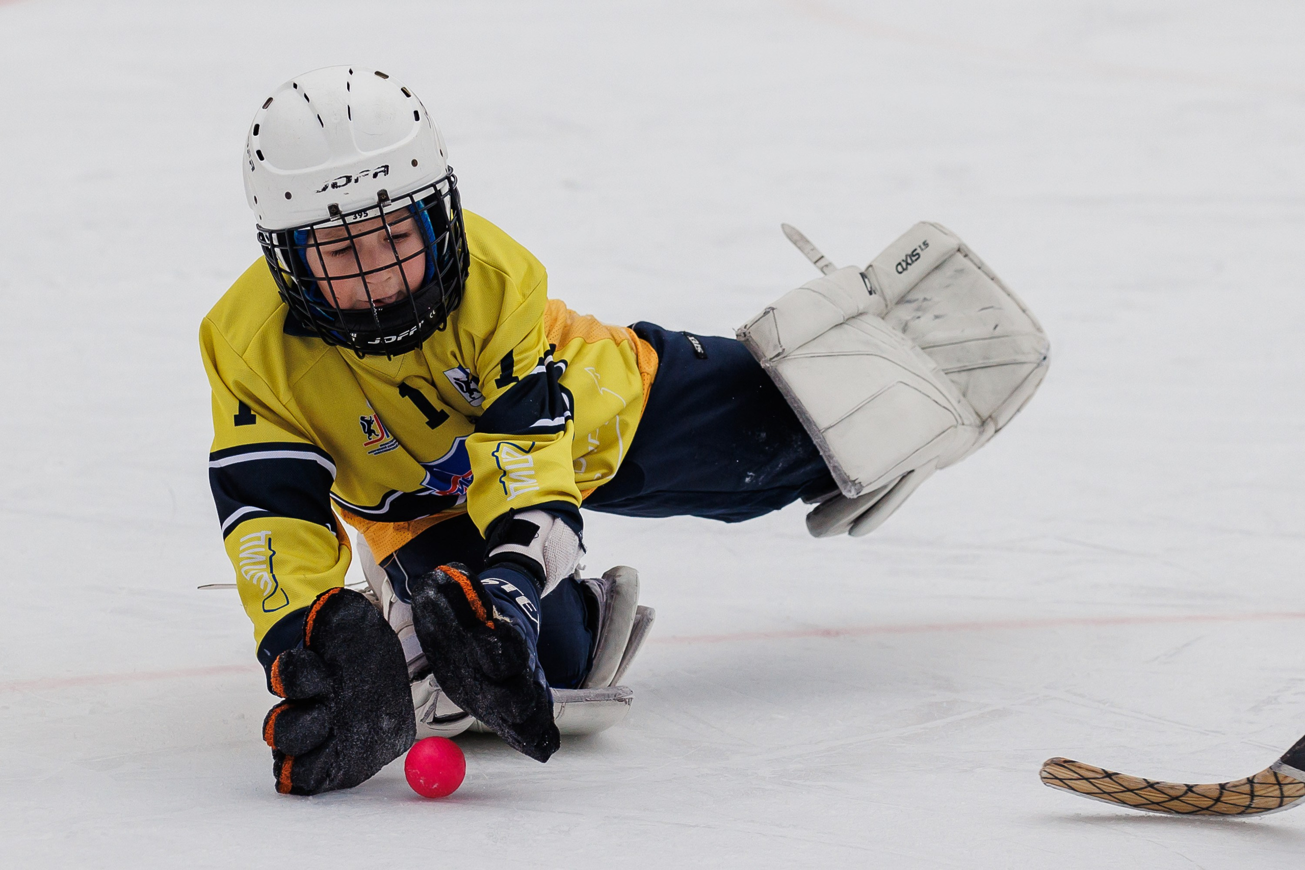 XV Кубок Патриарха по Хоккею с мячом. Photographer Danil Aykin