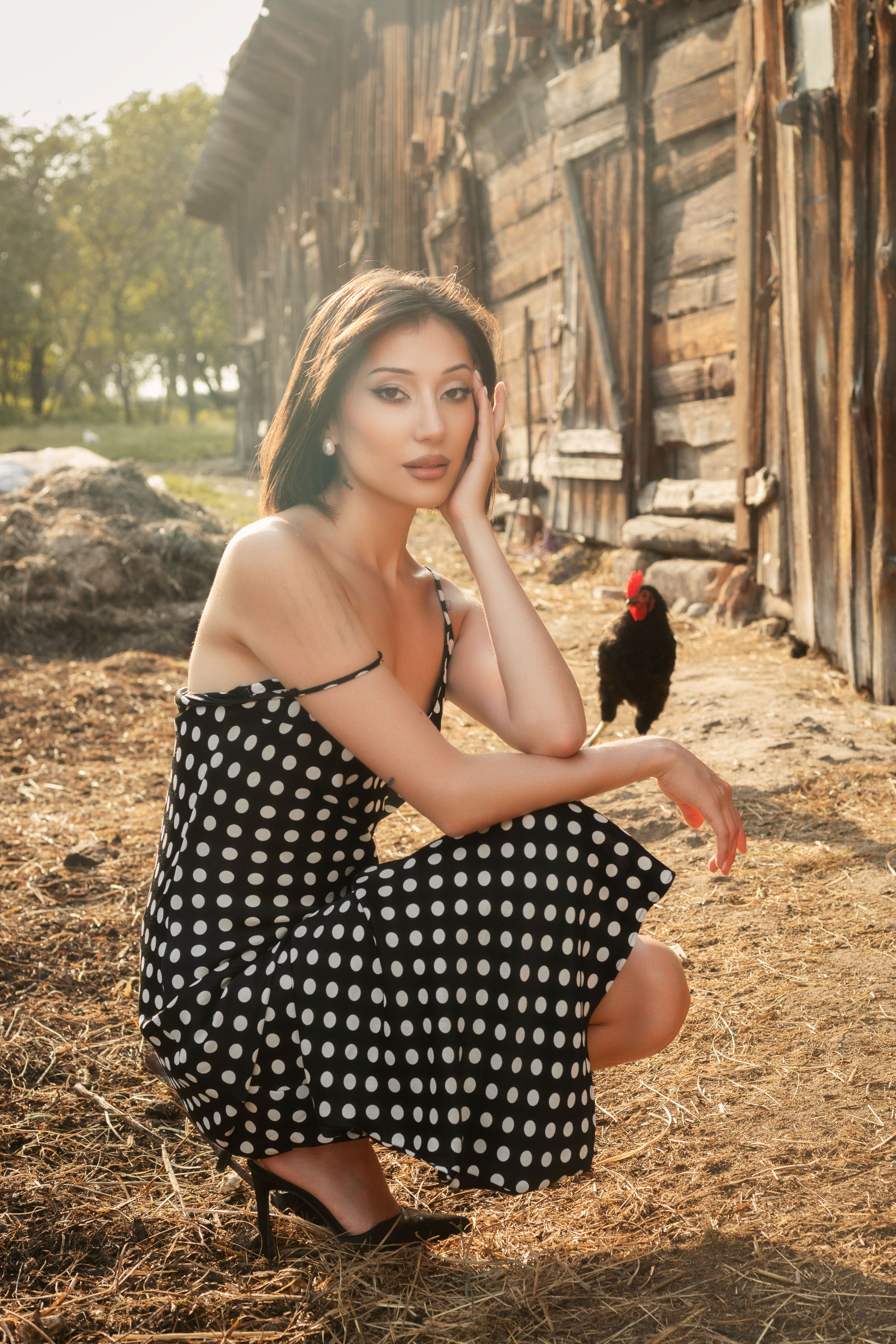 фото в курятнике