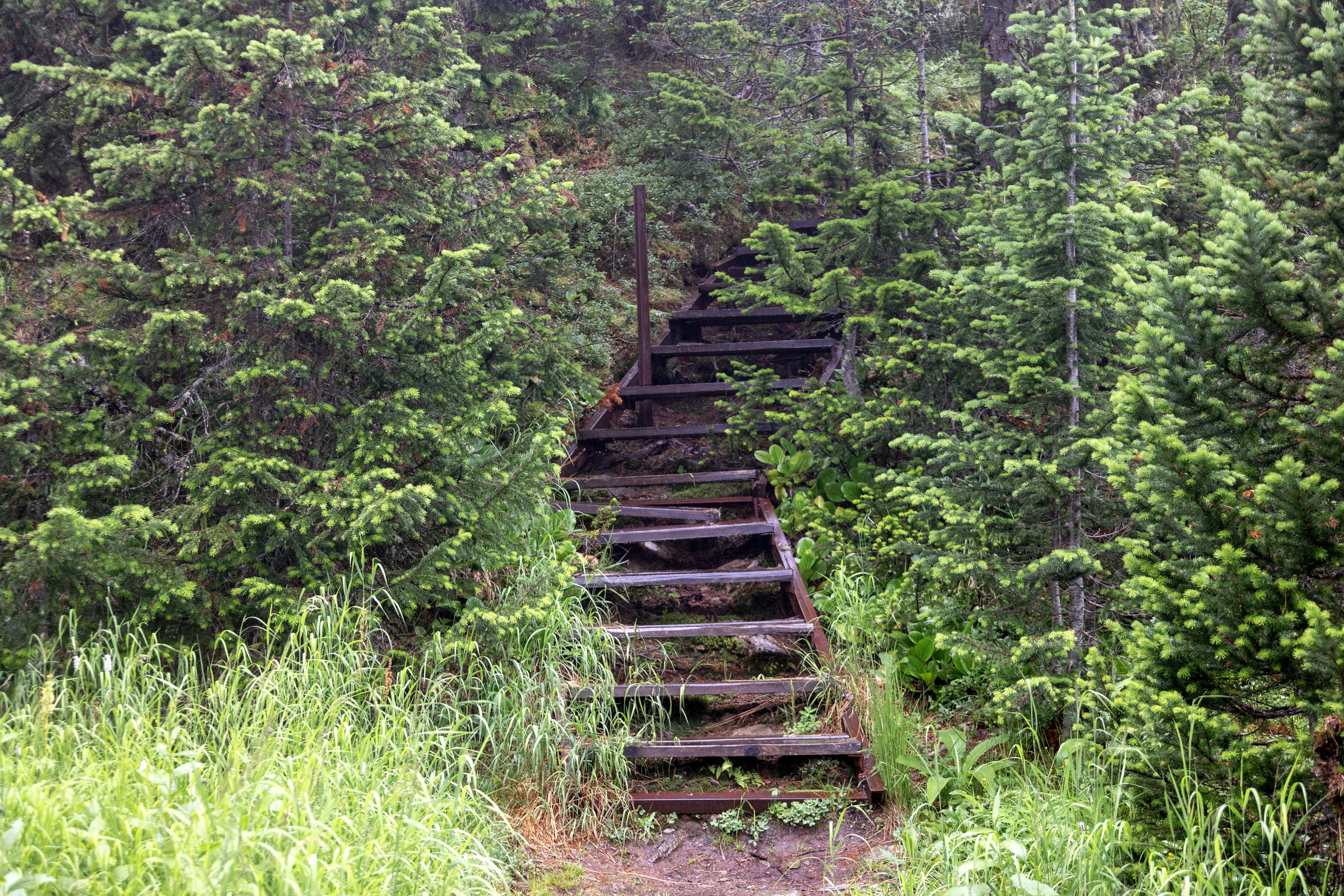Ергаки. Семейный и детский фотограф в Красноярске, Дивногорцева Светлана