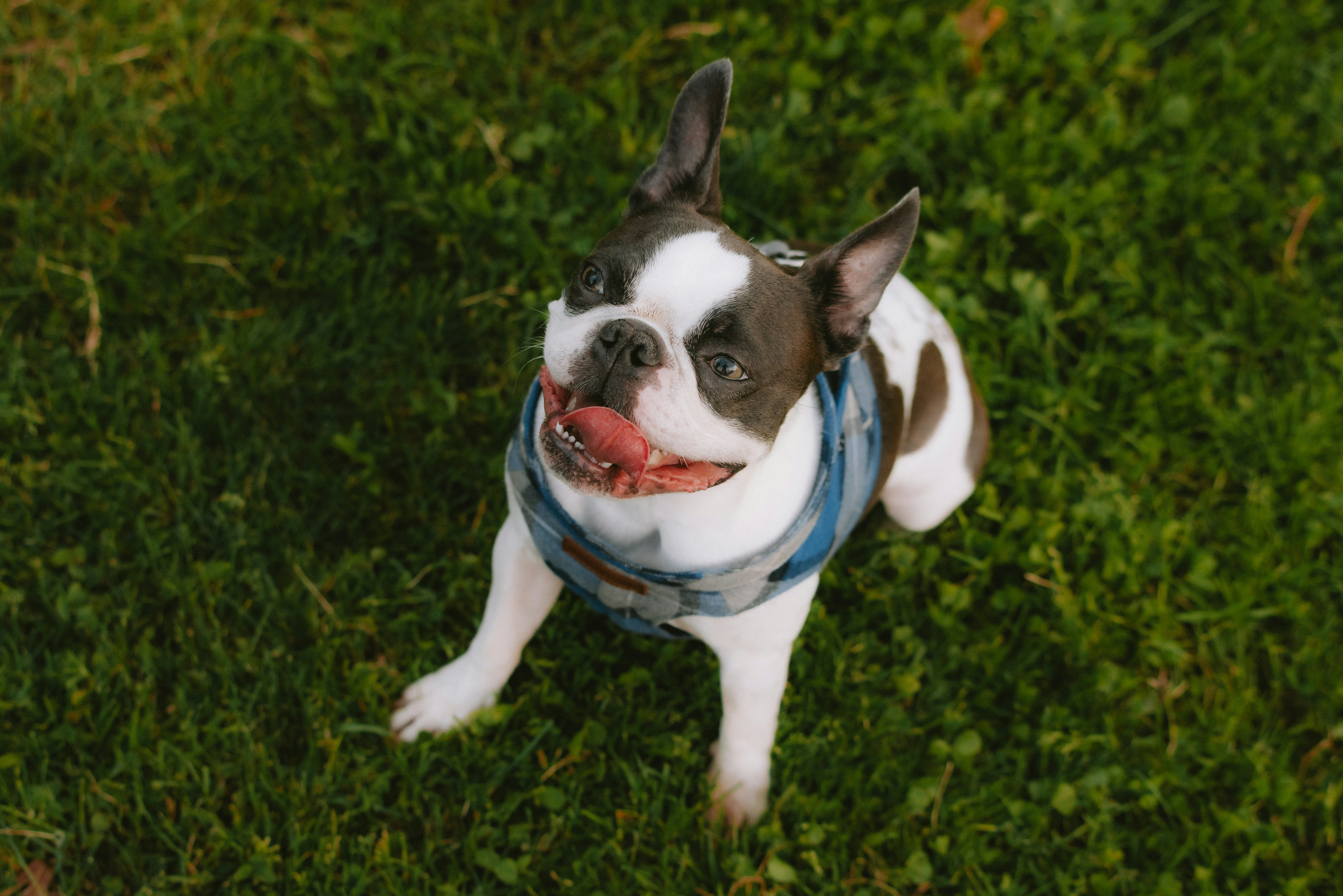 СЮРПРИЗ. Организация свадеб и вечеринок