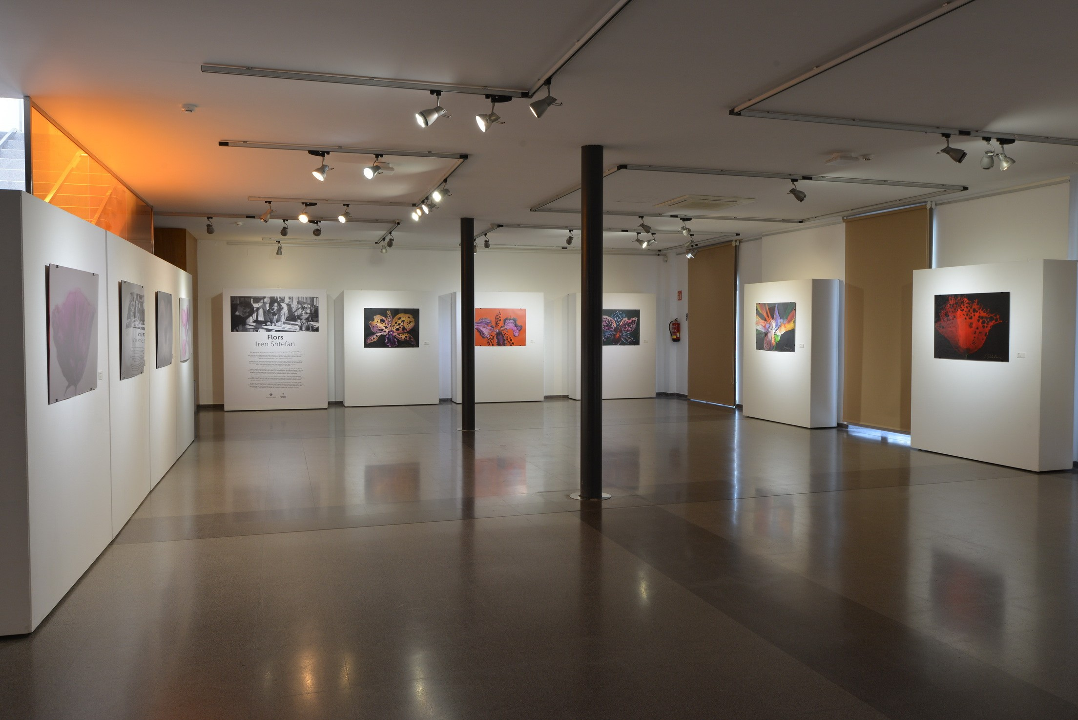 Exposición de Arte Abstracto. Fotógrafo Aleksandr Rybintsev