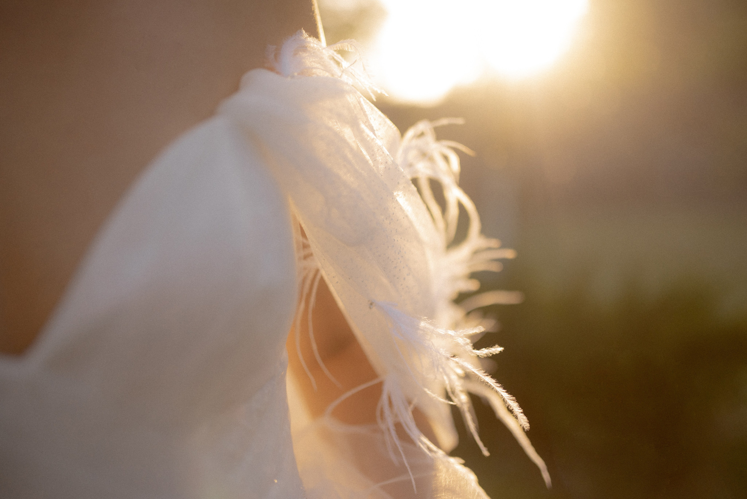 Дмитрий и Ольга. Фотограф Анна Абрикосова