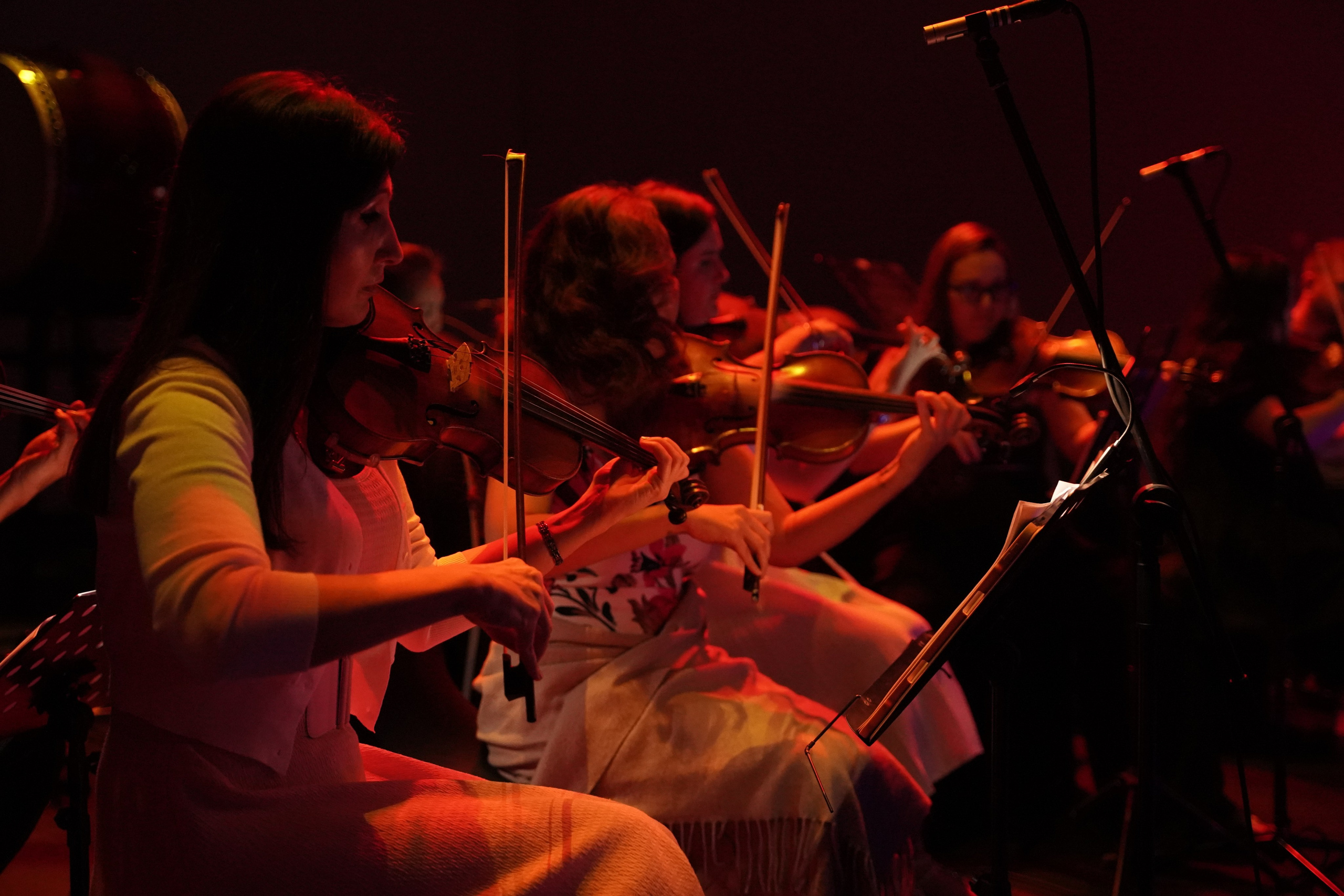 TODA is back. Katyavasileva