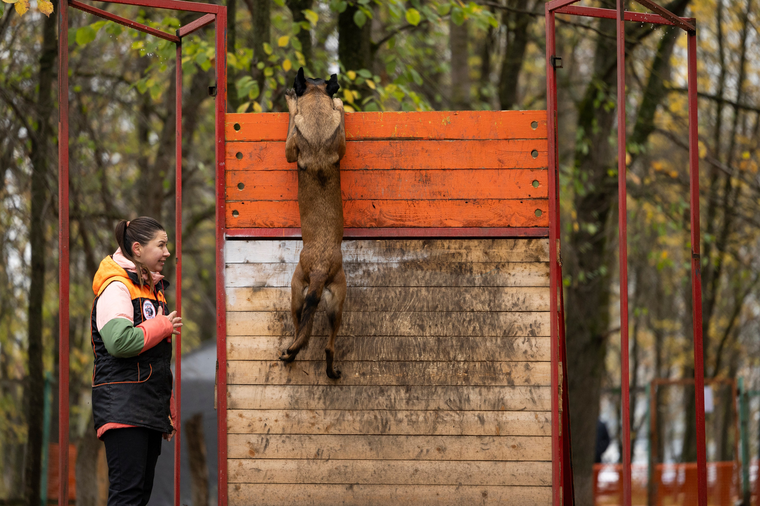 Соревнования по Мондьорингу г. Вологда. Фотограф-анималист Анна Маринич