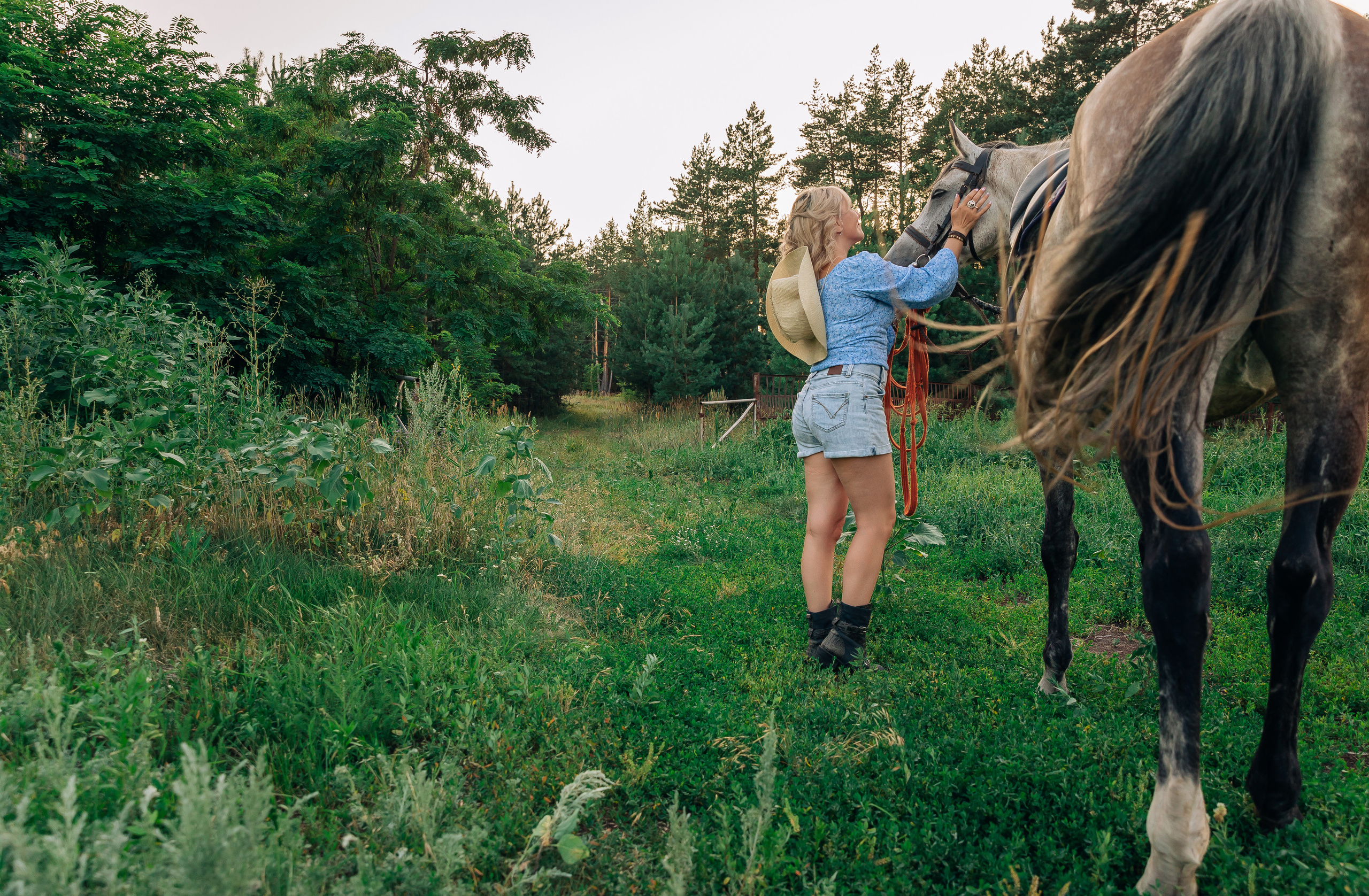 Прогулка с лошадью. Фотограф с творческими идеями в Балашове Тамара Исаева