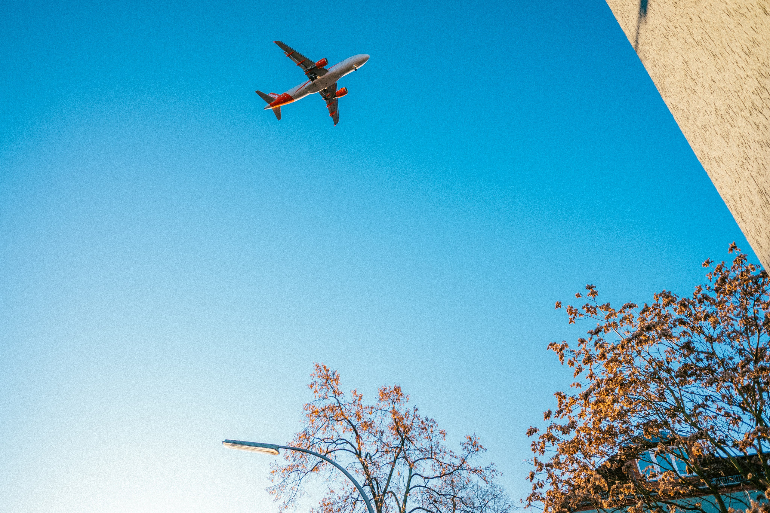 Берлин. Аня Степанова