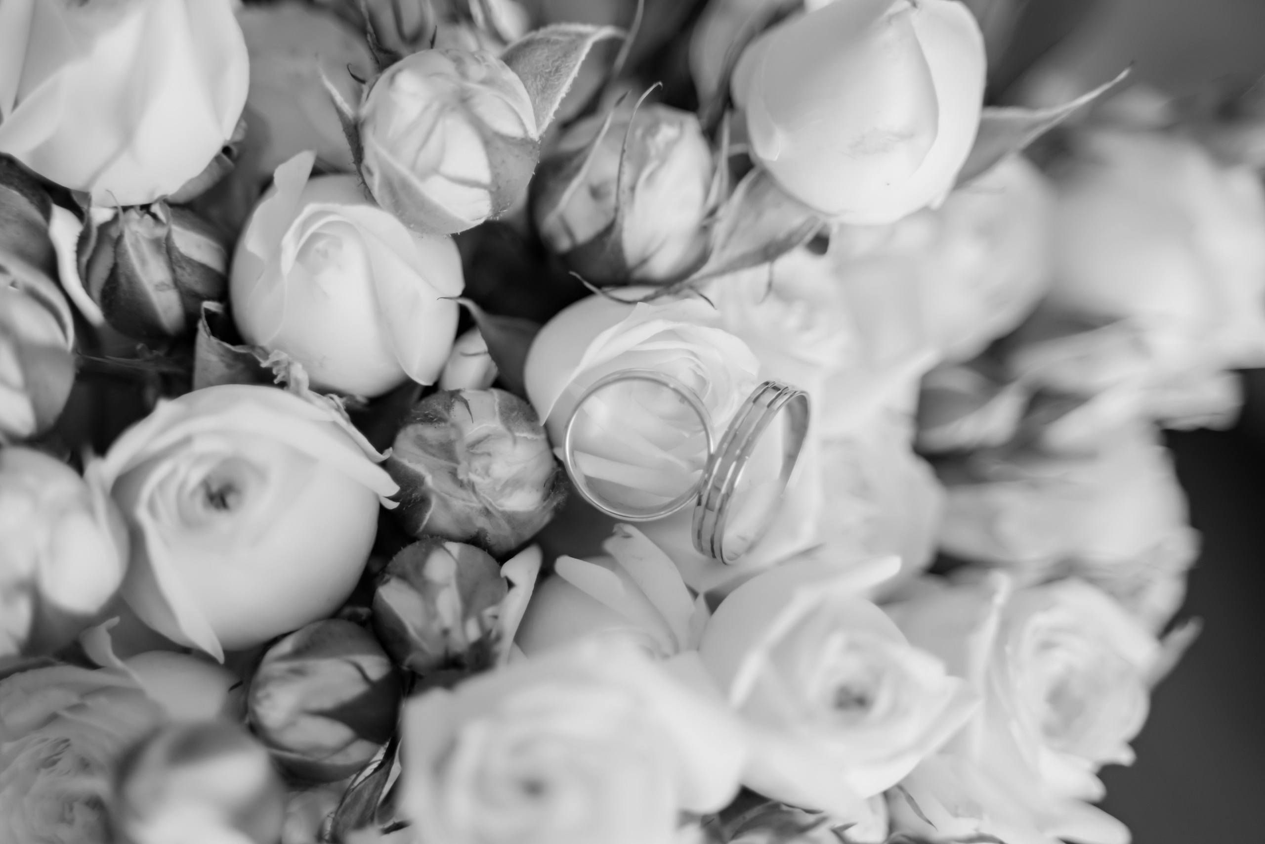 Свадебный фотограф Амина Хомович