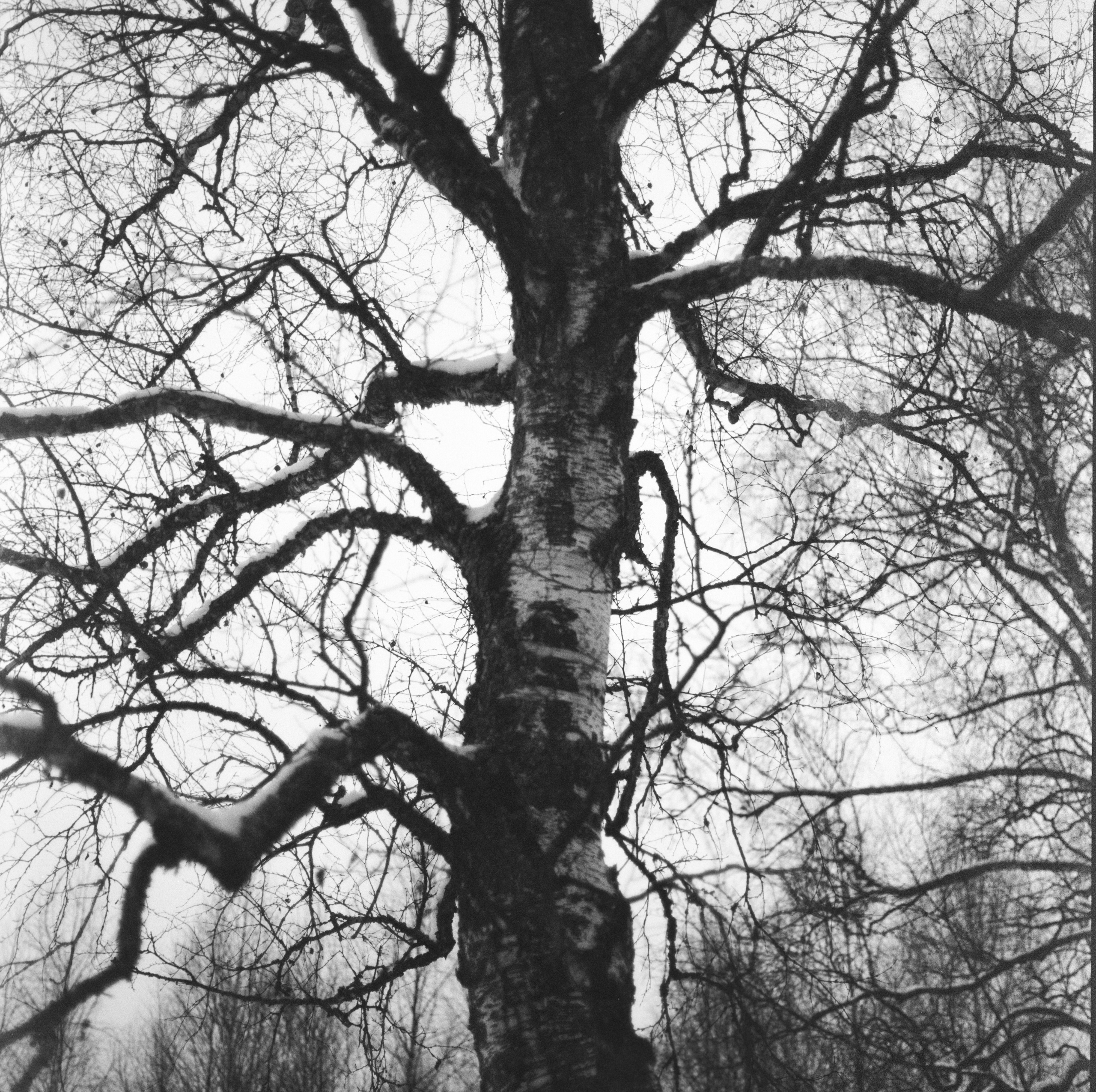 Kowa Super 66 — Kowa 85 mm f/2.8 / SFL Double-X Aerographic 400 (Kodak 2405)