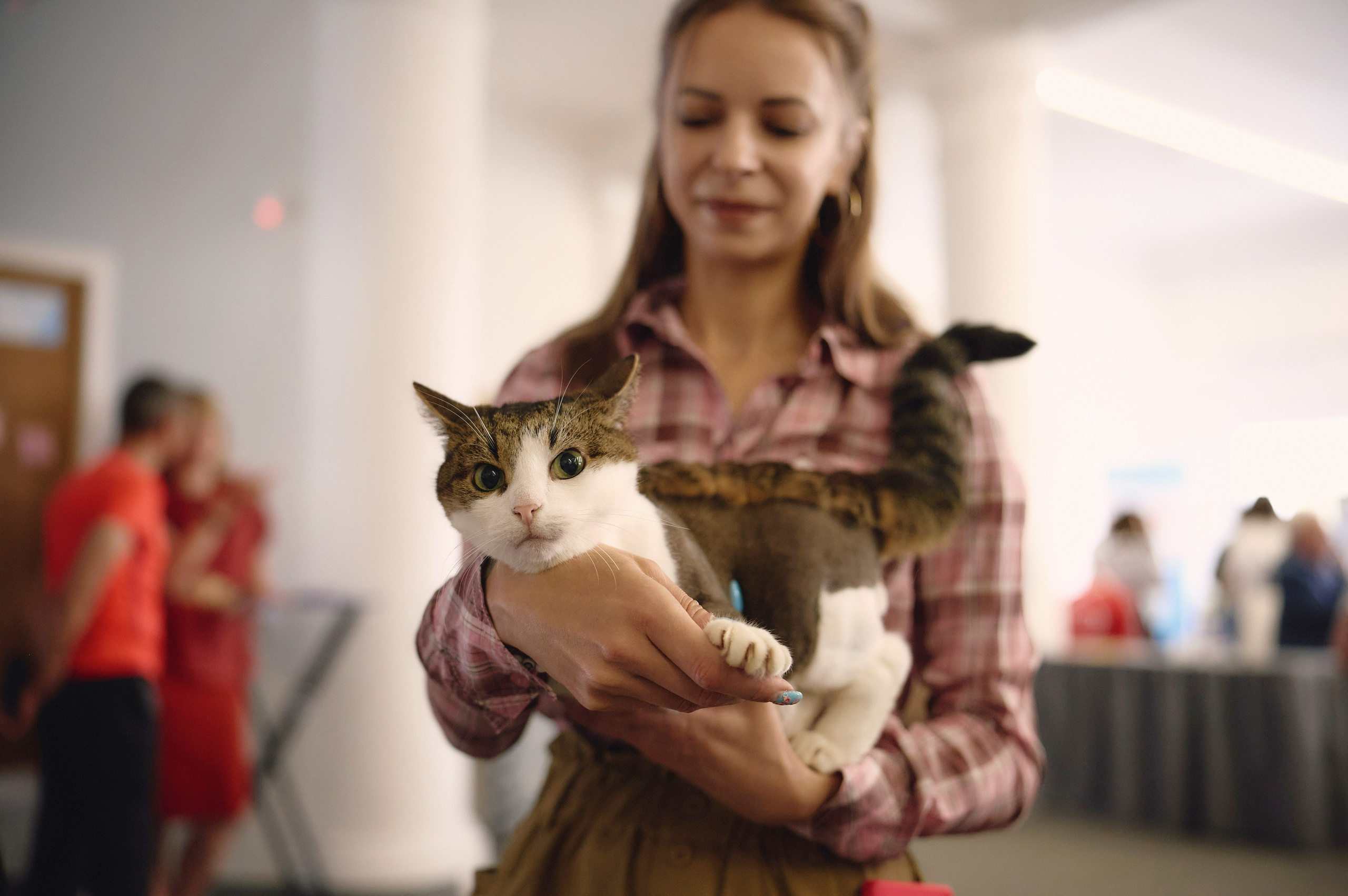 Гражданский форум. Ваш мультижанровый фотограф Александр Белов