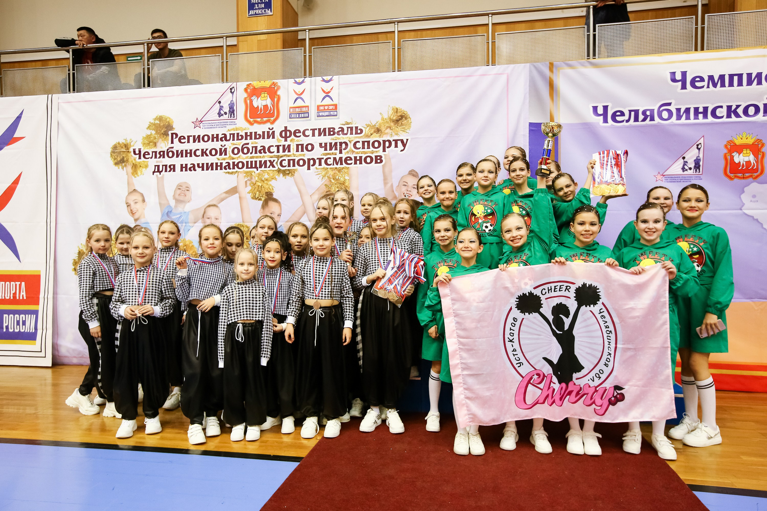 ЧЕМПИОНАТ И ПЕРВЕНСТВО ЧЕЛЯБИНСКОЙ ОБЛАСТИ ПО ЧИР СПОРТУ — 2023 г