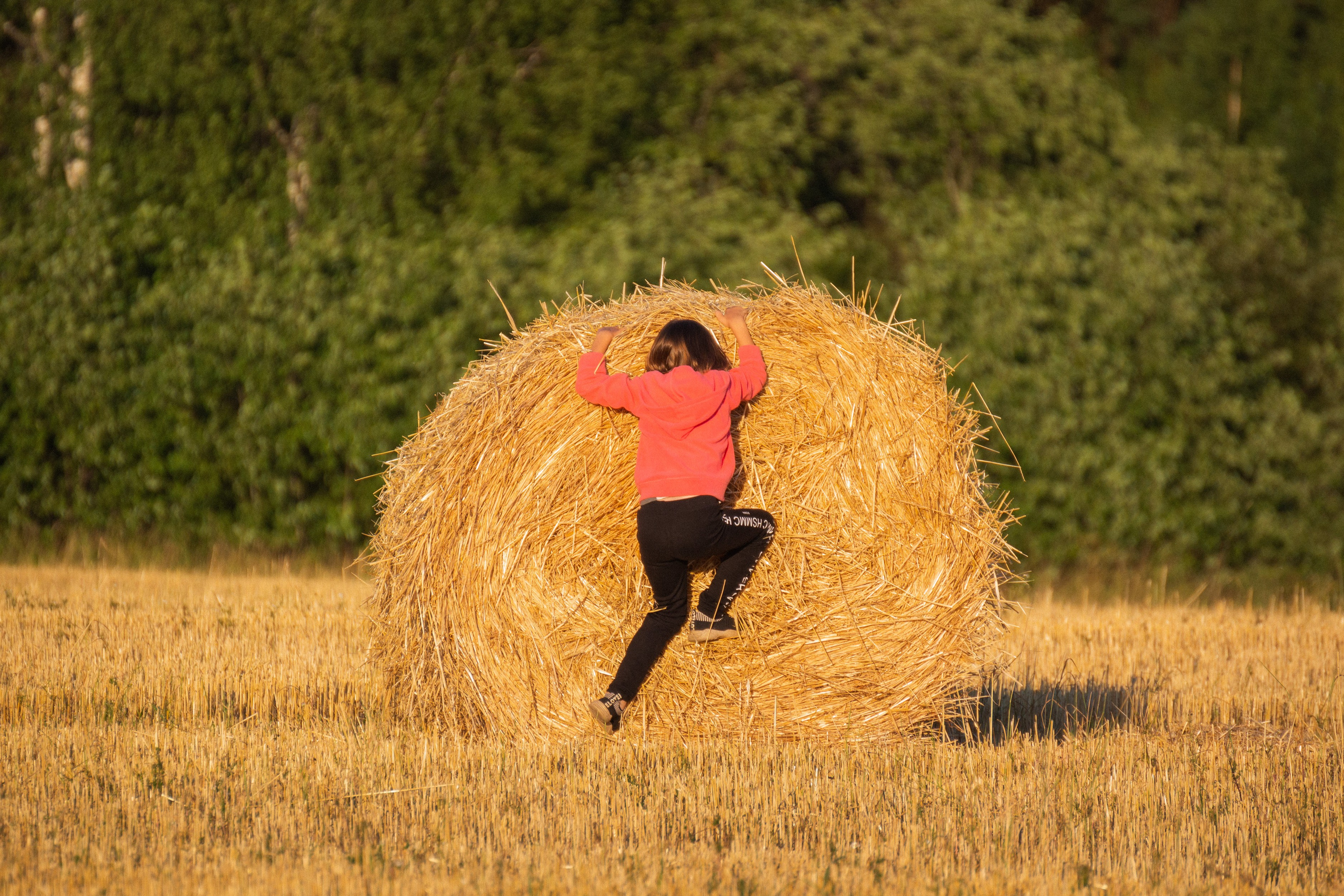 Детская и семейная съемка – фотограф Дмитрий Баранов. Портретный фотограф в Иваново — Дмитрий Баранов