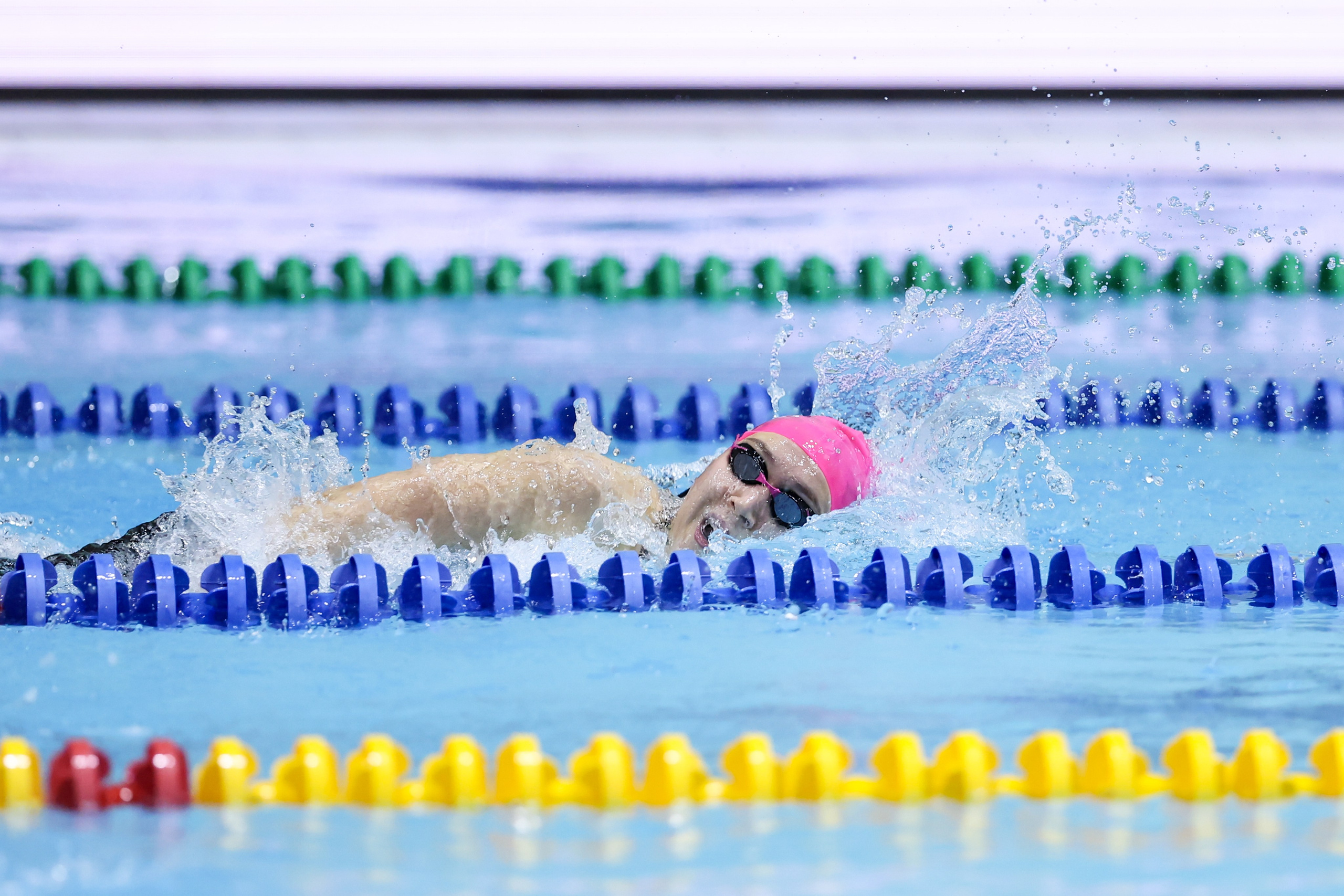 Чемпионат России по плаванию 25 м 21-26.11.2024. Спортивный и репортажный фотограф Антон Тереханов