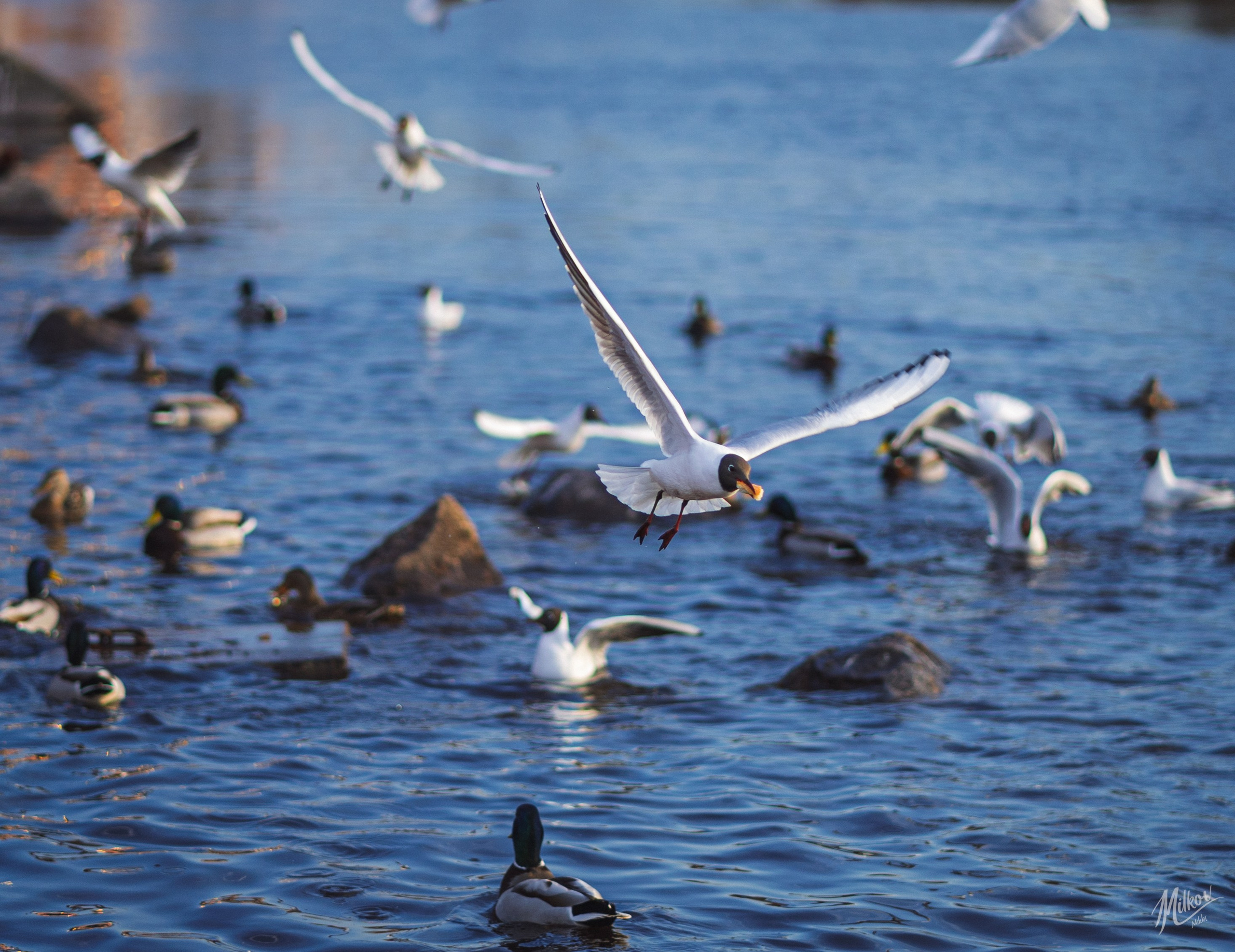 Стрит фото. Mikoff — Воспоминания и эмоции неподвластные времени