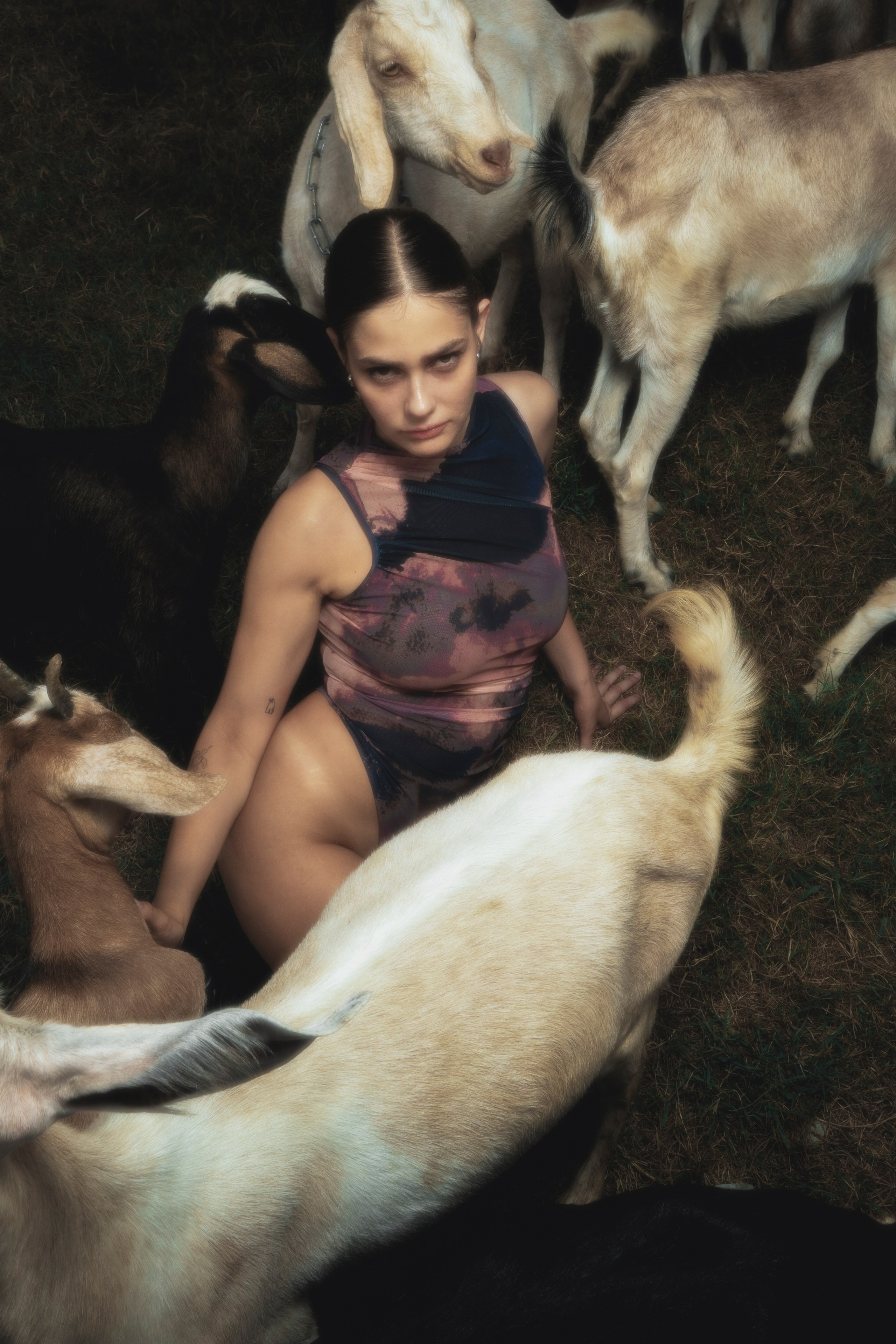 STRANGE FARM. Jorredi