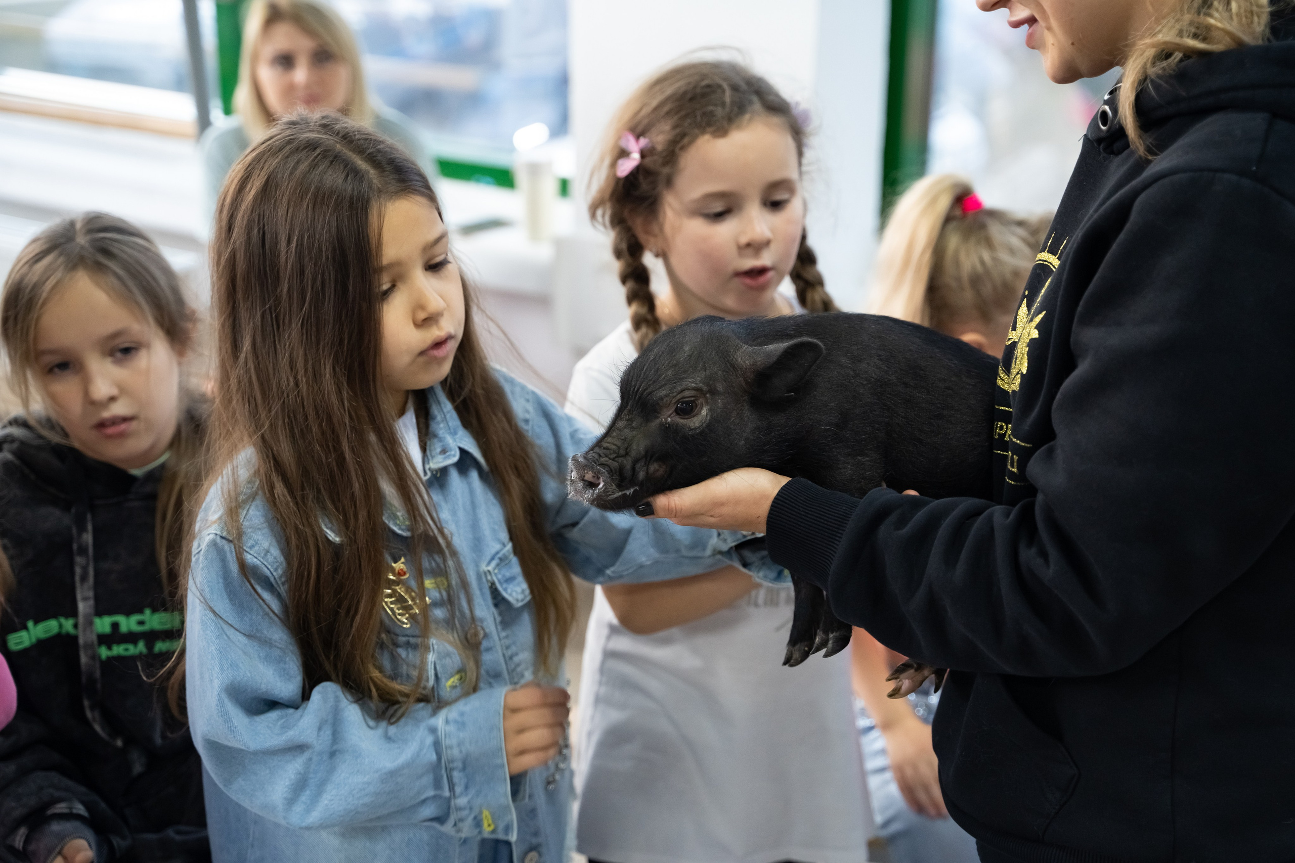 Tik Tok вечеринка. Фотограф в Одинцово, Москве
