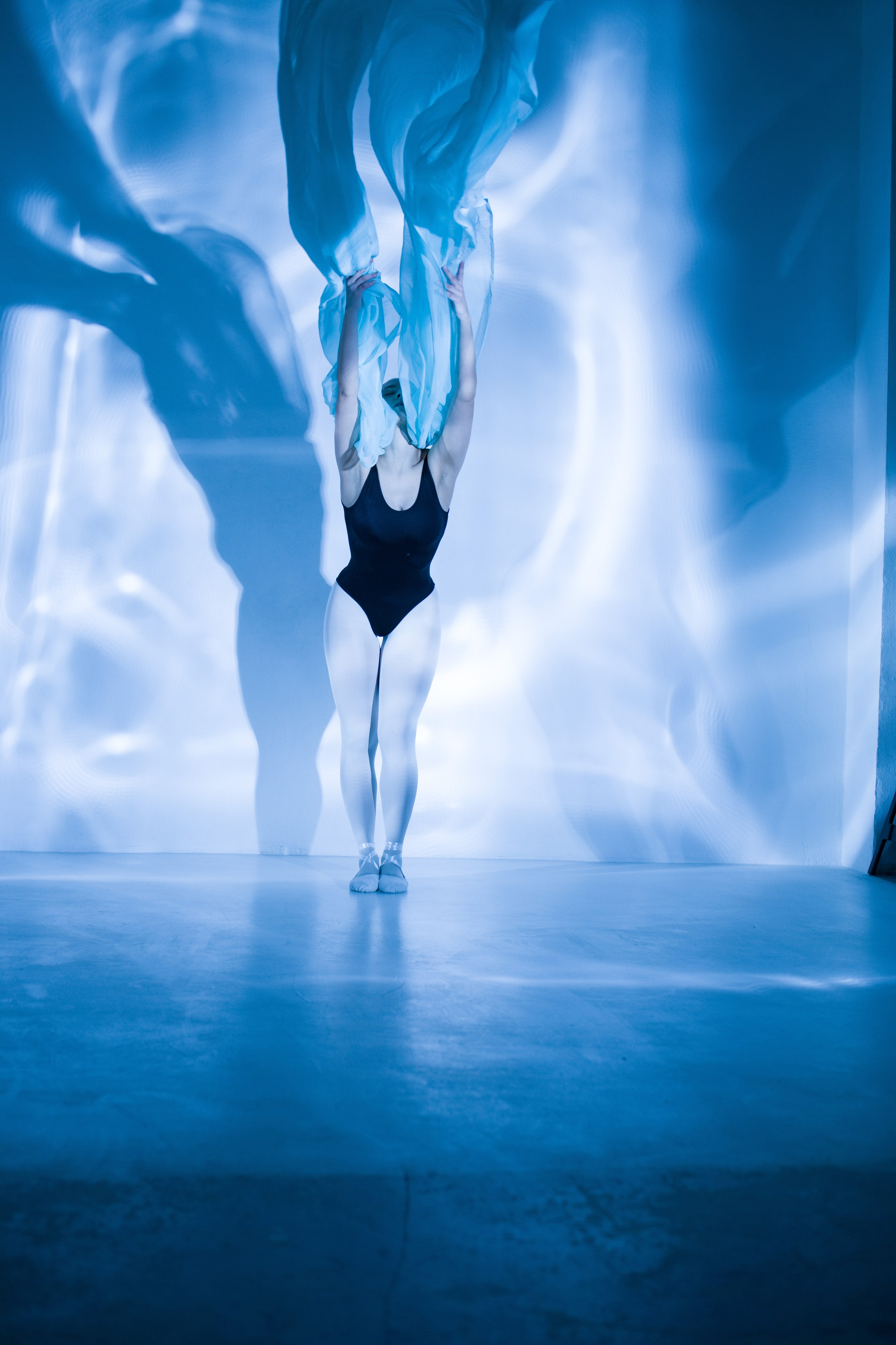 Лилия. Художественная фотография