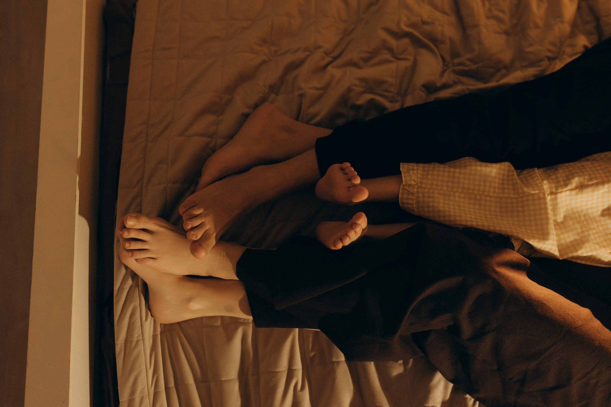 Домашняя история. Meryfotoidea