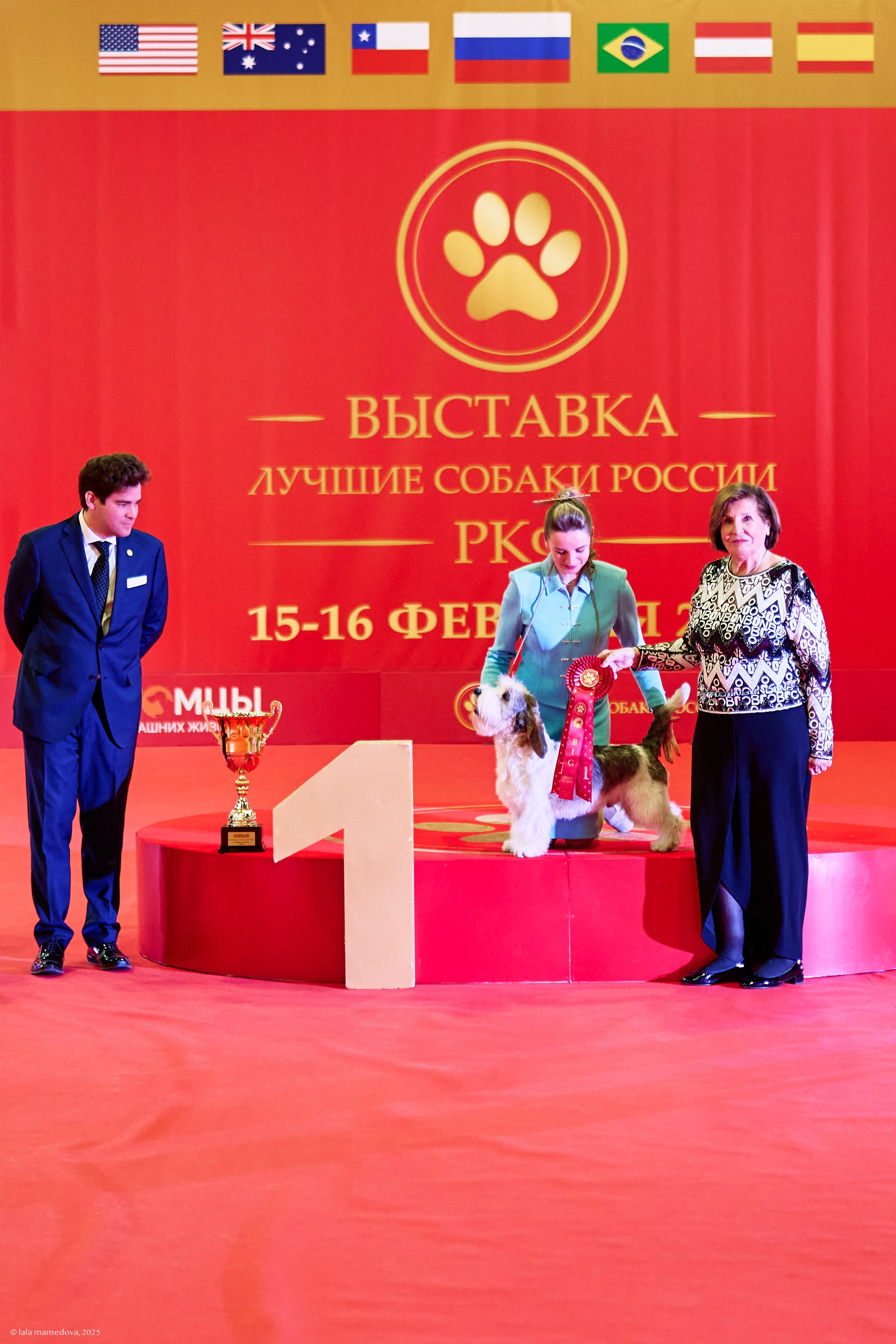 ЛУЧШИЕ СОБАКИ РОССИИ РКФ 2025