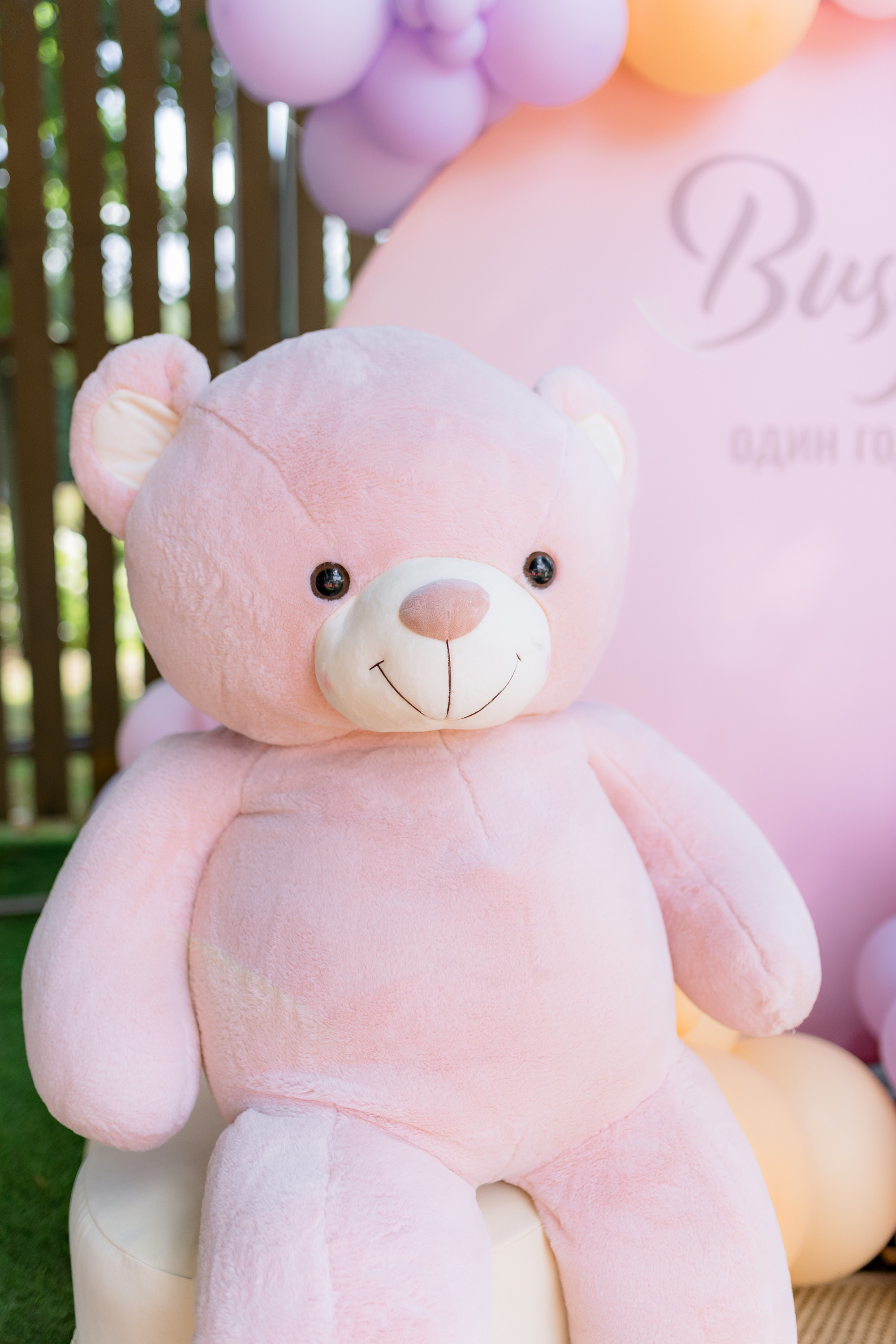 Busya Happy Birthday. Антон Прокопенков Свадебный Фотограф +7(916) 013-35-12