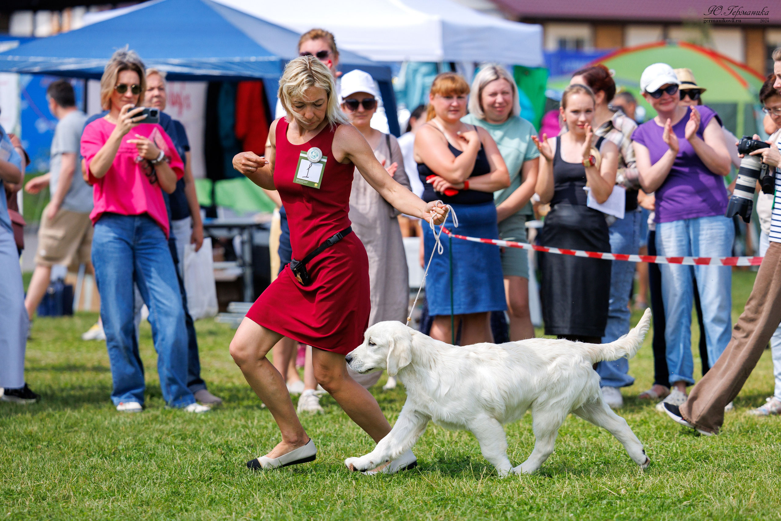 Голдены 15-16.06.2024. Фотограф-анималист Юлия Германика