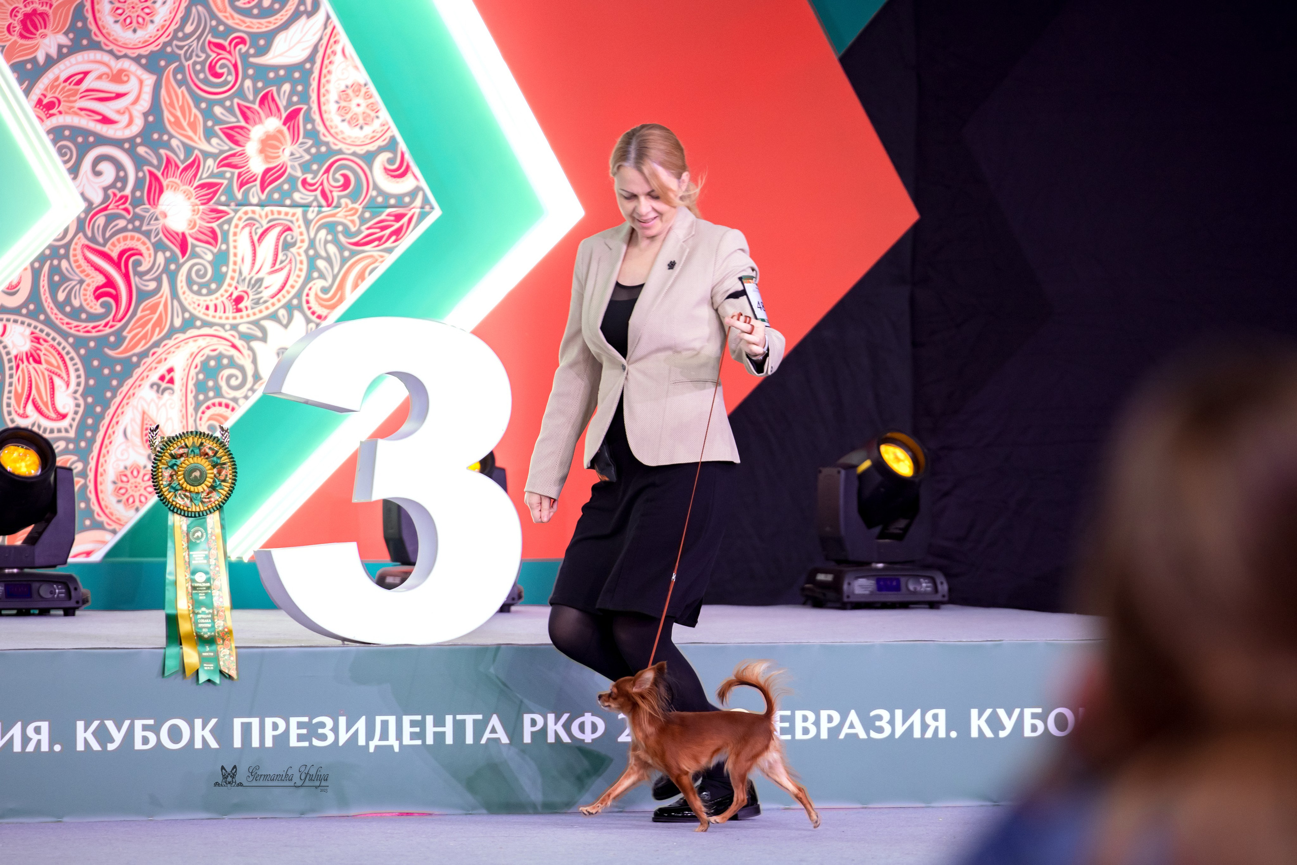 ЕВРАЗИЯ 18-19.11.2023. Фотограф-анималист Юлия Германика