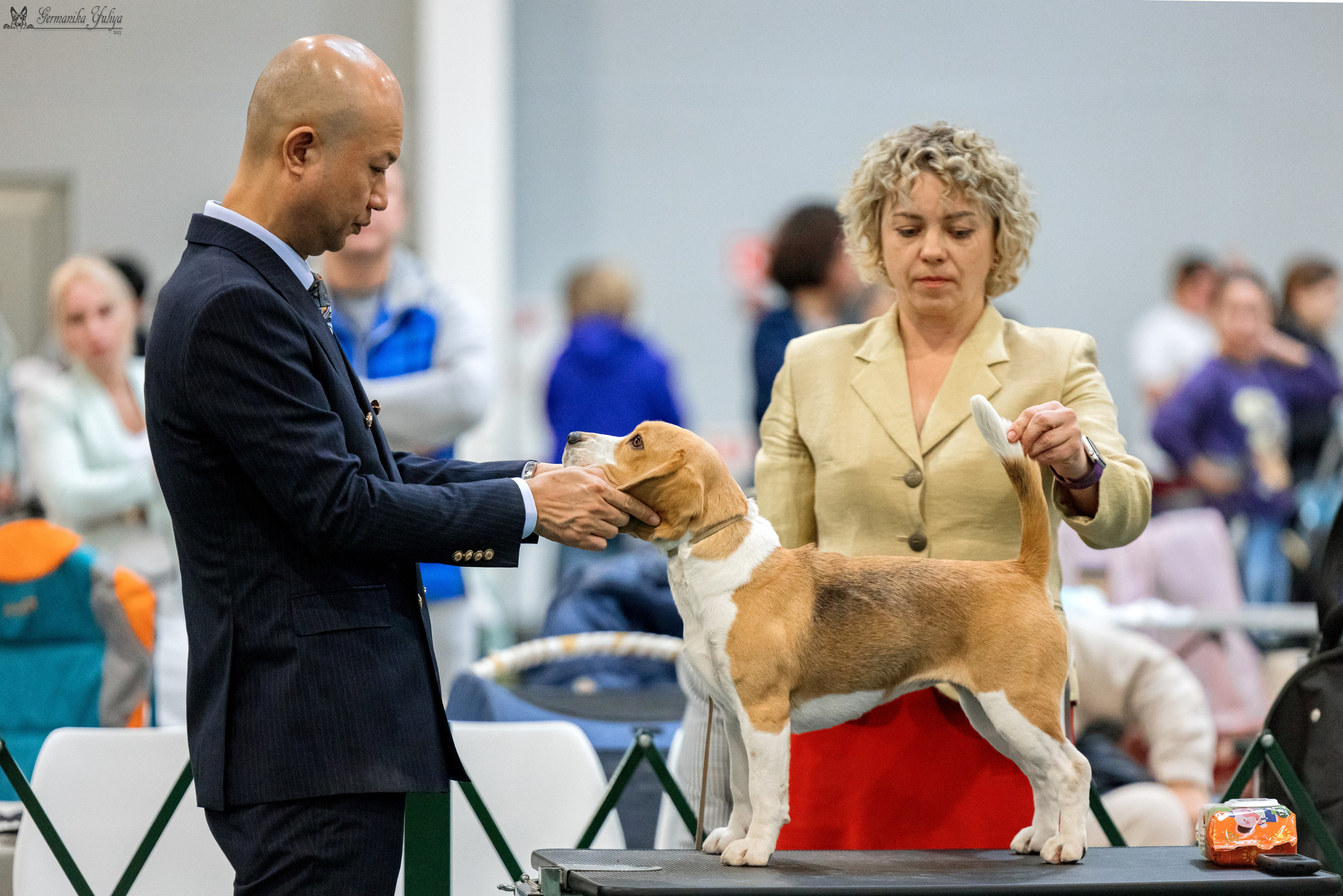 Сфера 29.10,Крокус 4.11,Сфера 12.11.2023. Фотограф-анималист Юлия Германика