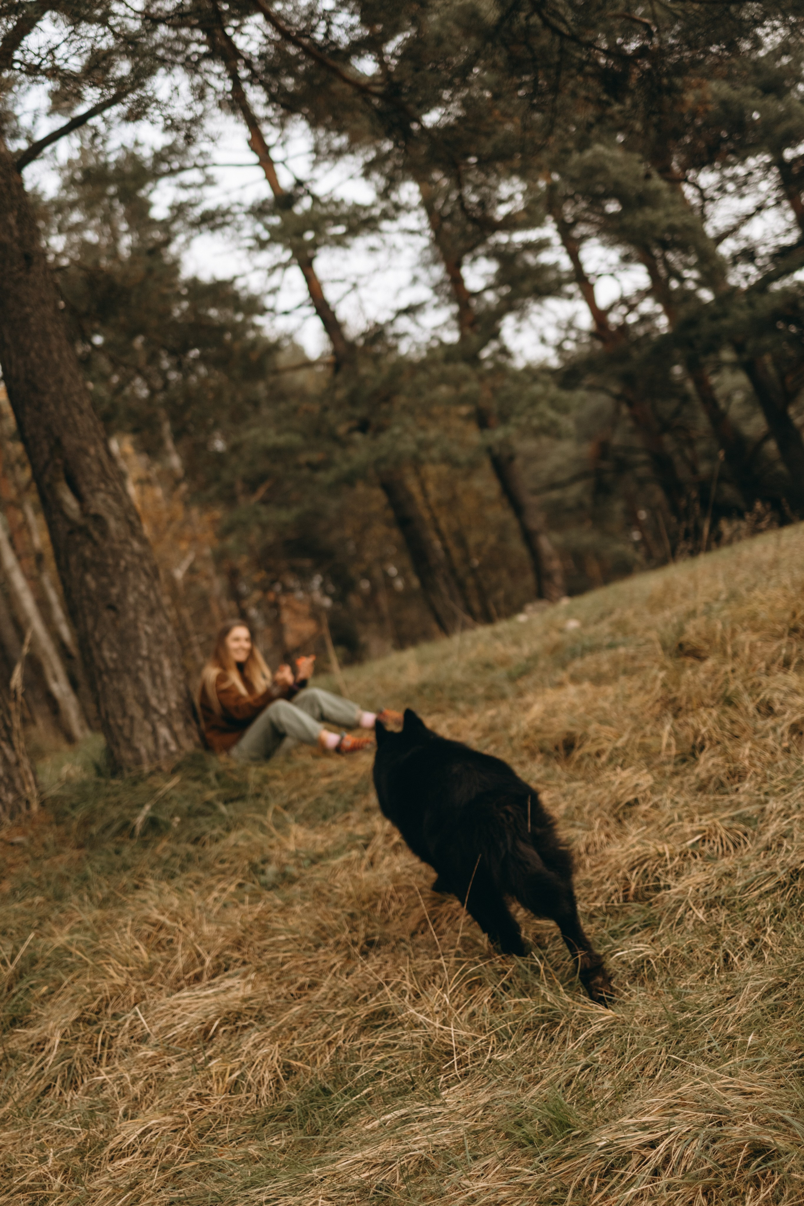 Лора и Джанго. Фотограф — Анималист | Санкт-Петербург