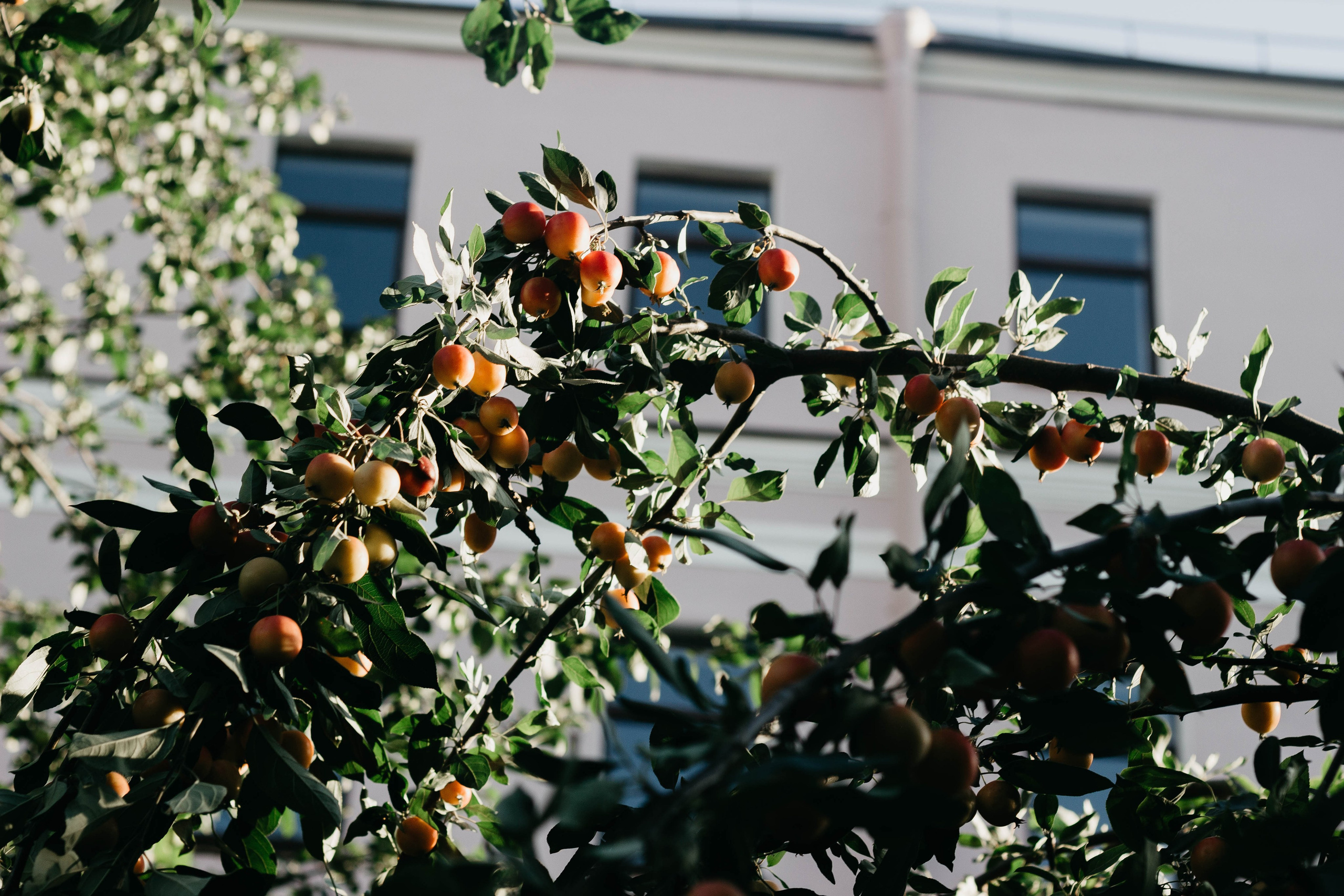 «Этот город останется также загадочно любим». Фотограф в Санкт-Петербурге Головина Анастасия