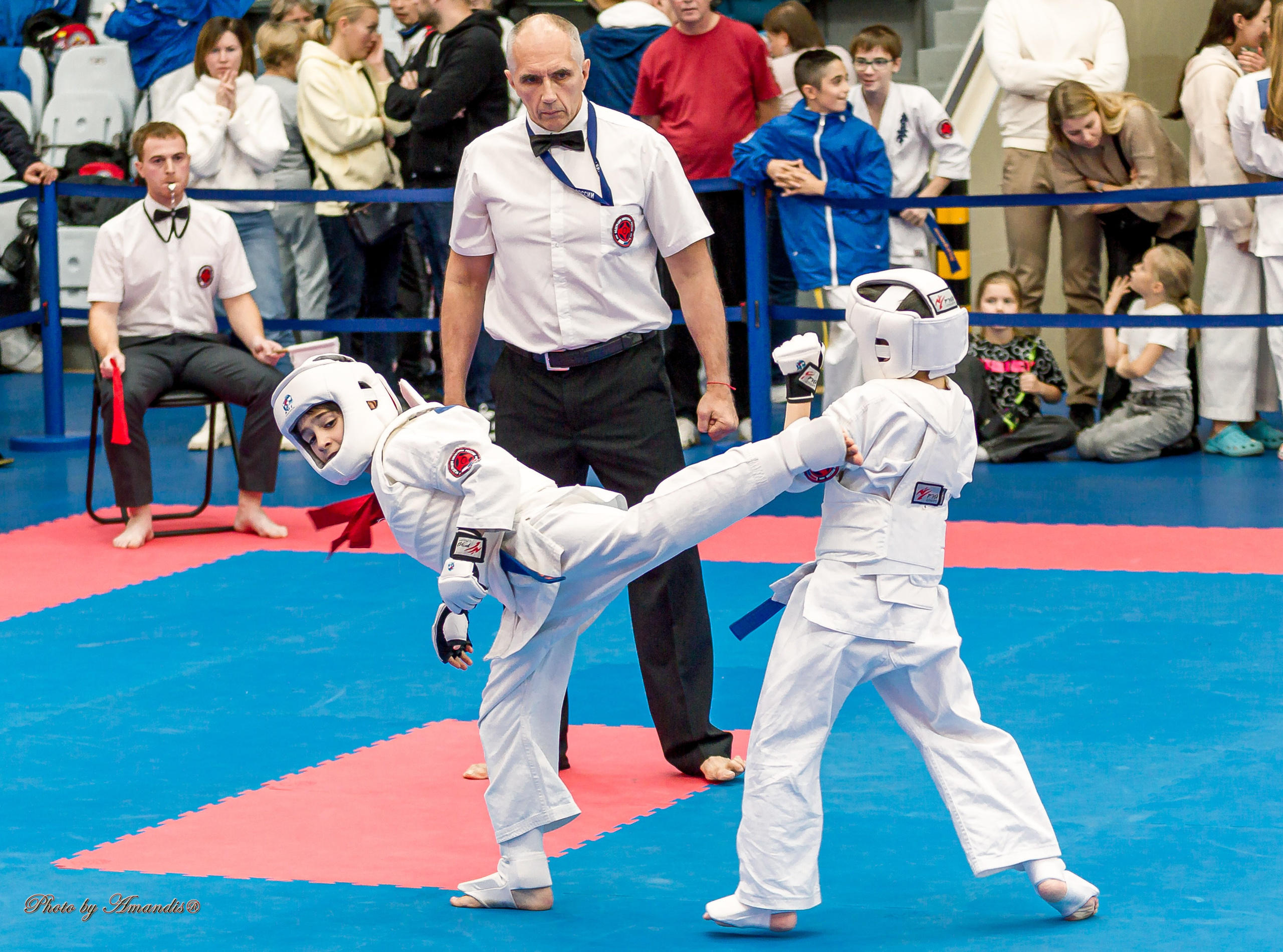 Чемпионат по Киокушинкай Центрального Федерального округа. Репортажная съемка в Москве и области. Анималистика