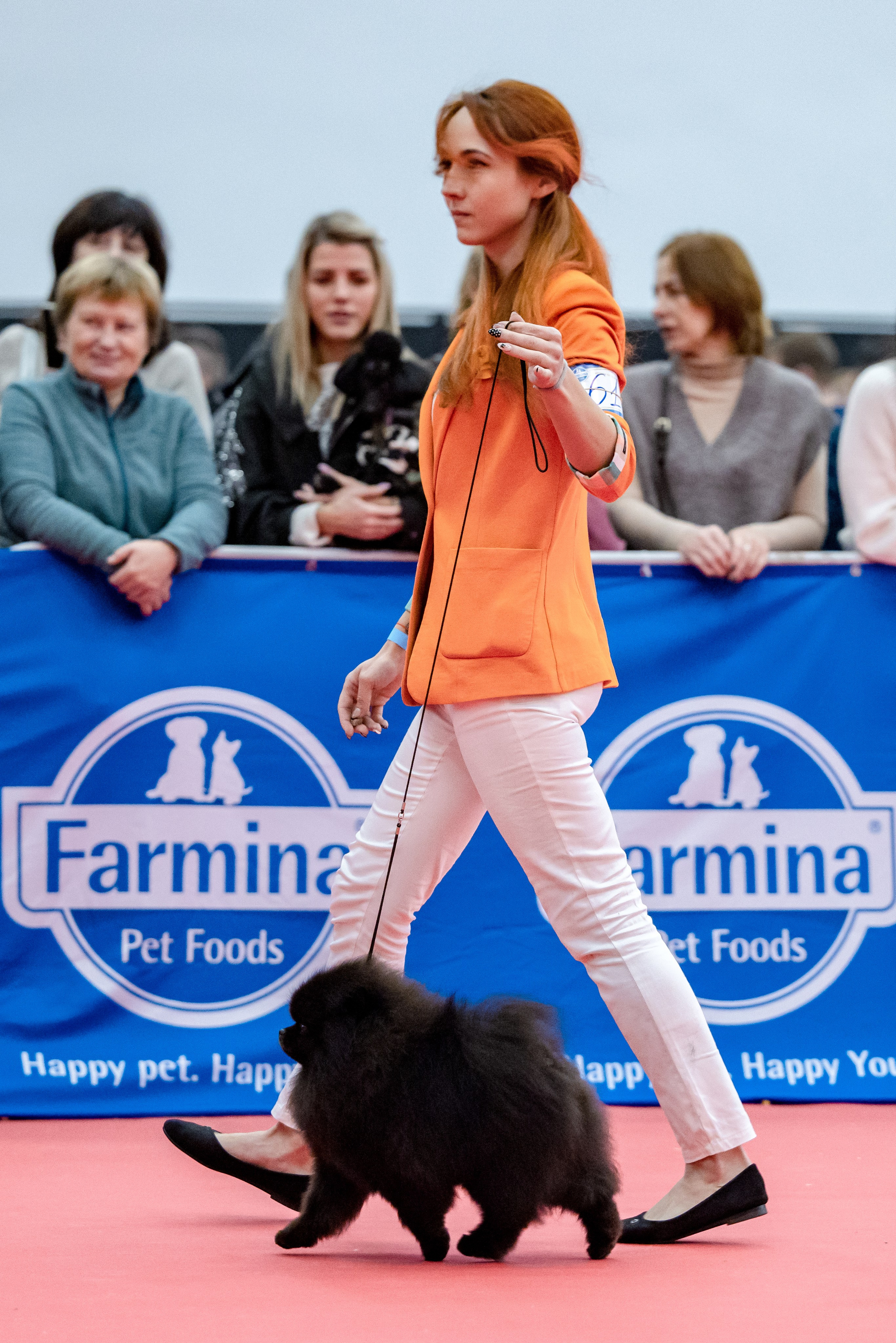 Нижний Новгород 21-22.10.2023. Фотограф-анималист Юлия Германика