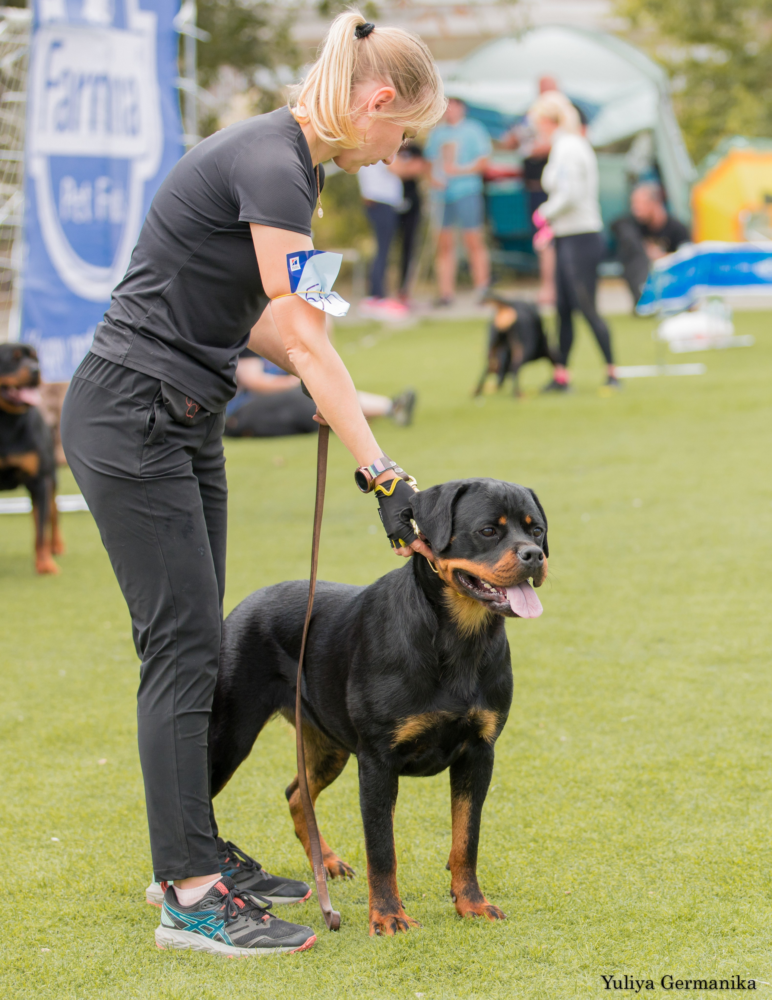Анапа 16-17.09.2023 моно ротвейлеров. Фотограф-анималист Юлия Германика