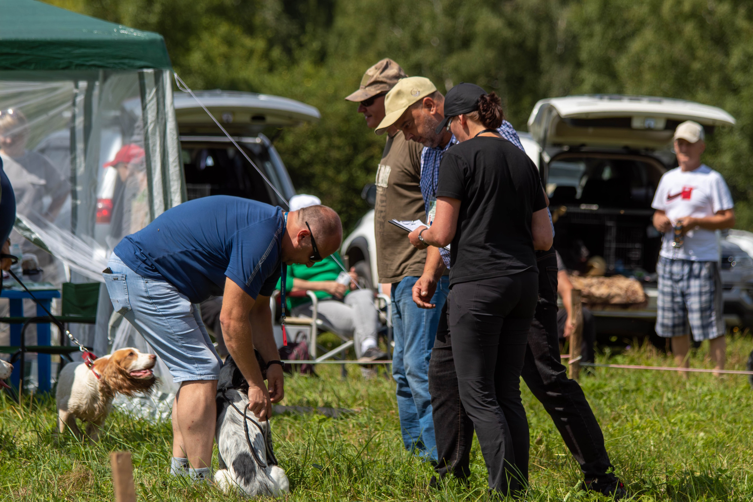 Репортажная съемка в Туле. Фотограф анималист — Тула, Москва