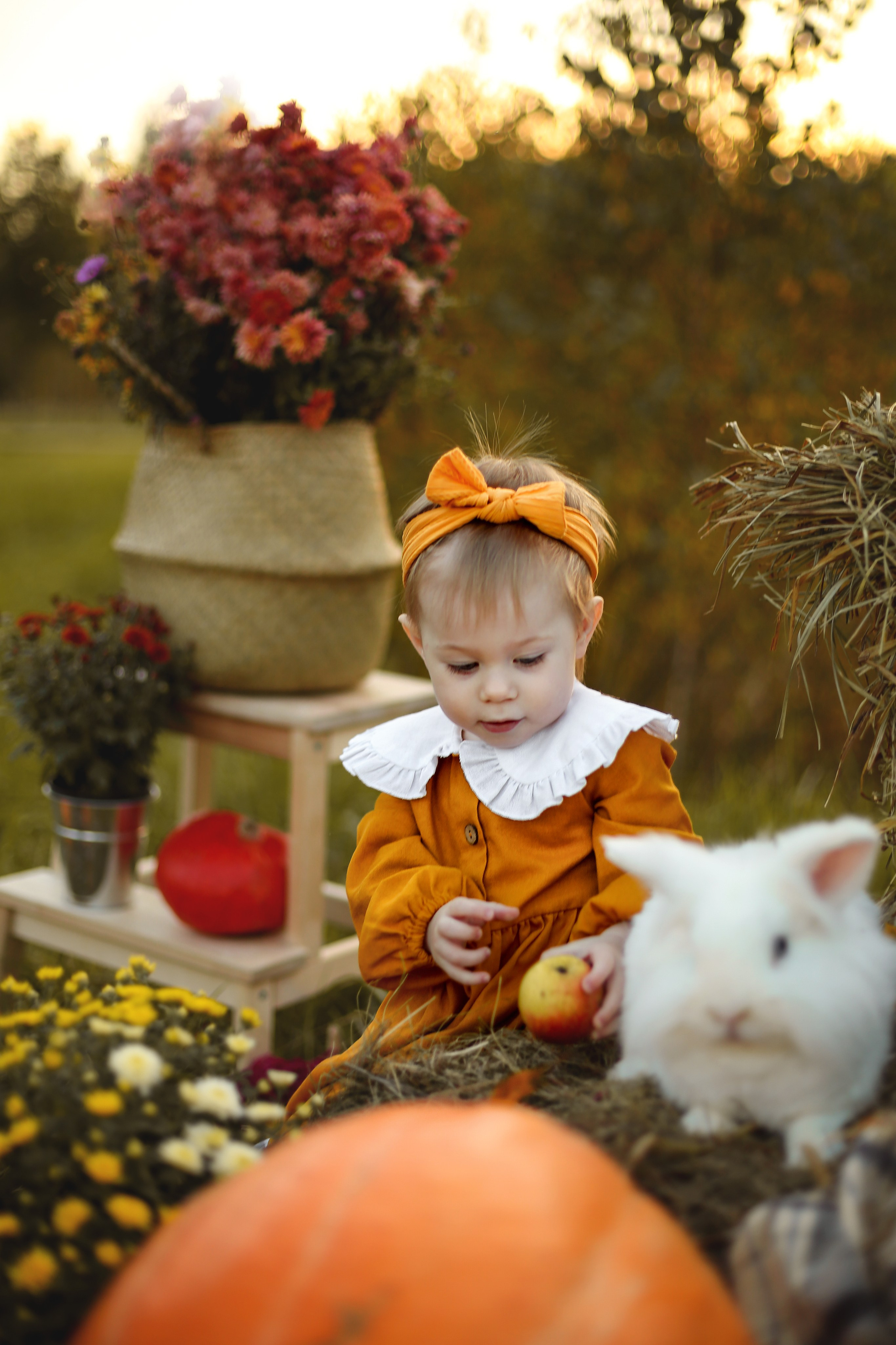 Осенний пикник с кроликом. Фотограф Ульянкина Мария