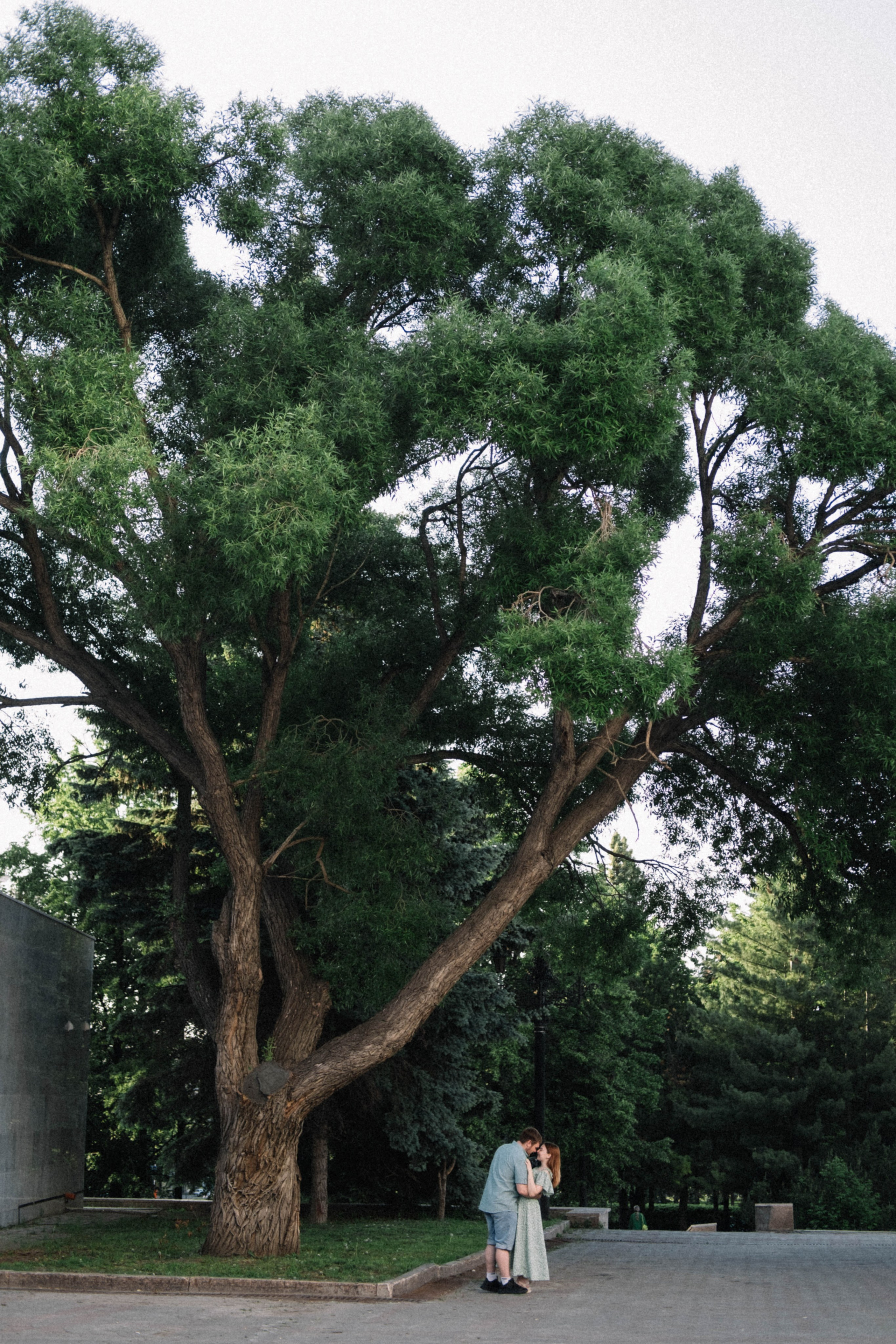 Таня и Андрей. Фотограф Троицк Челябинская область Анастасия Штаер