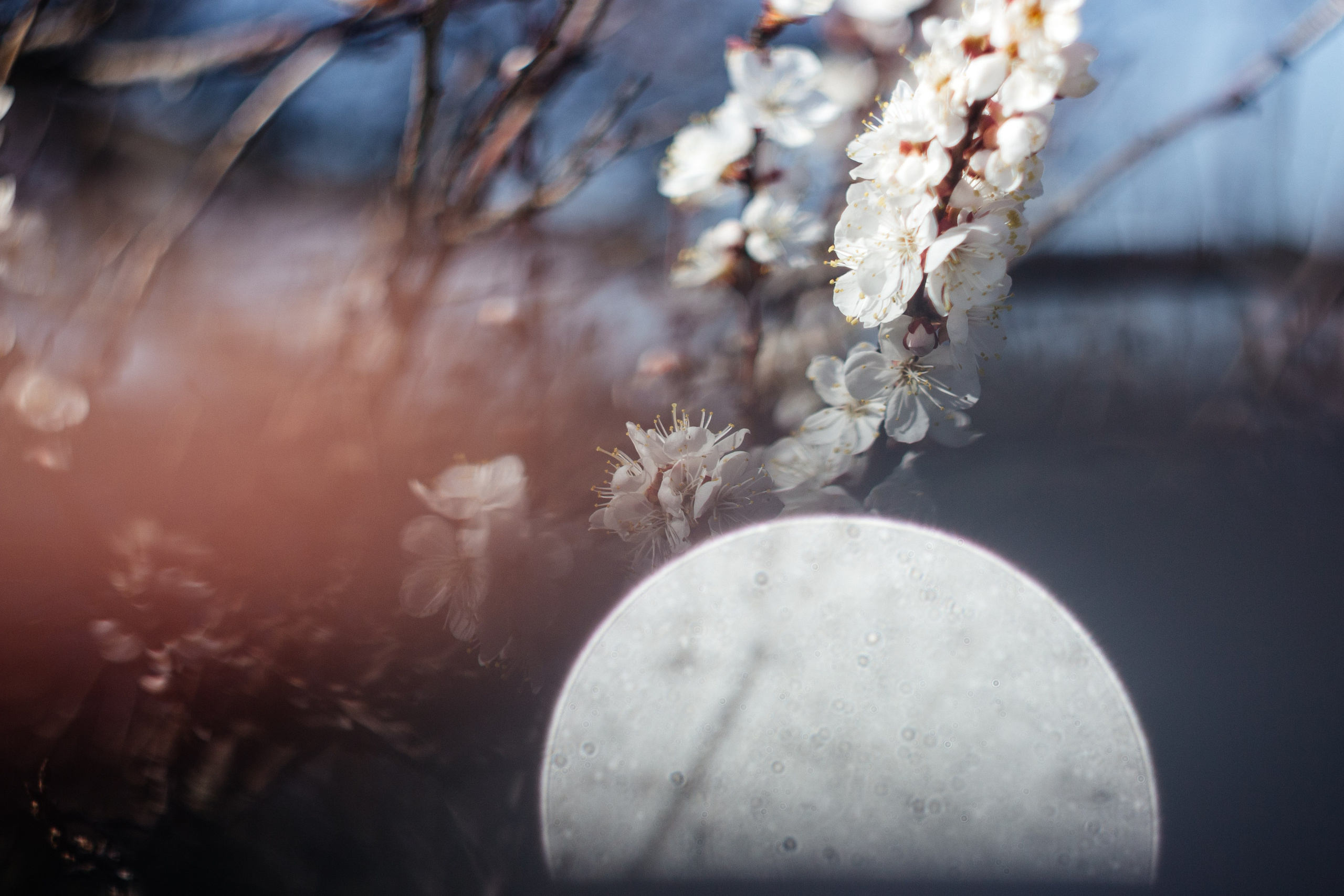 Helios. Photographer Mary Matveenko