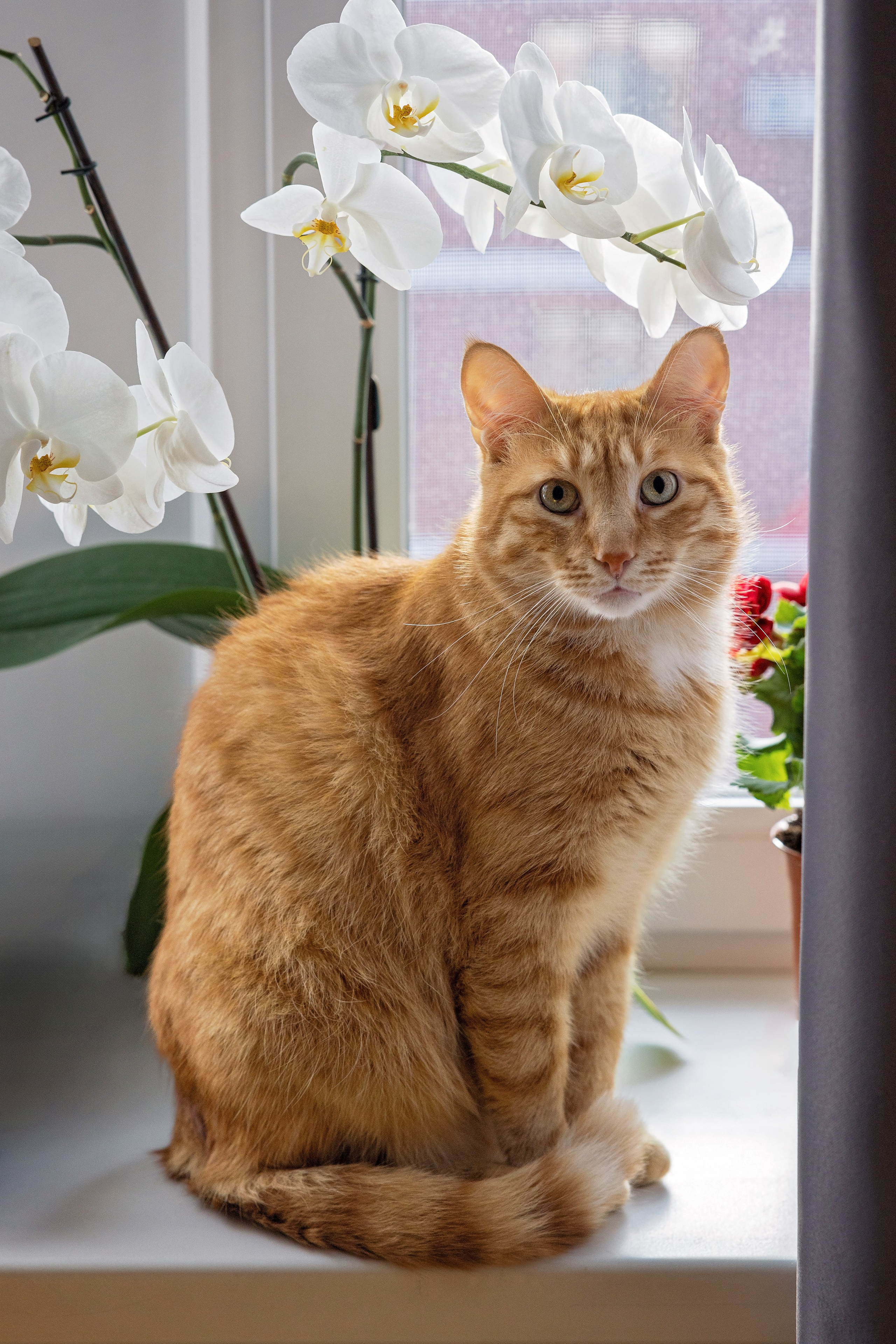 Рекламная съемка в Москве. Геннадий Степанов —фотограф в Москве